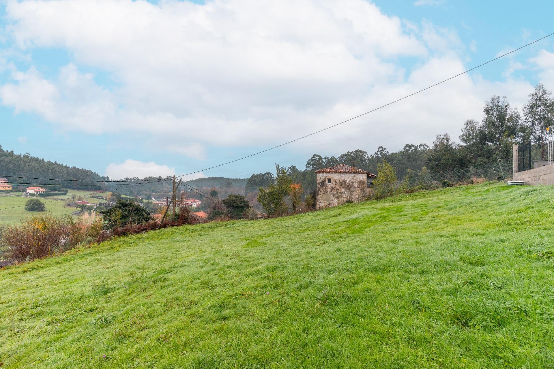 Fincas y solares-Venta-CastrillÃ³n-2033159-Foto-13