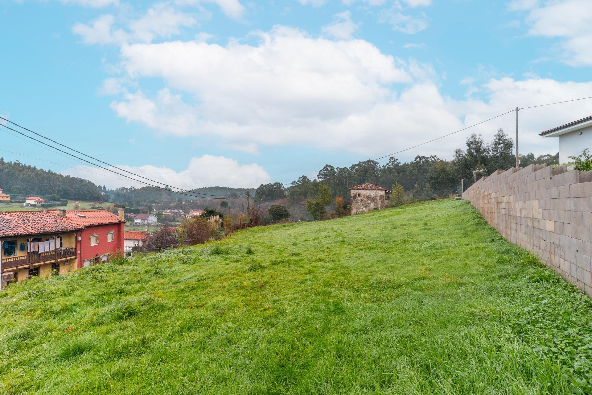 Fincas y solares-Venta-CastrillÃ³n-2033159-Foto-11