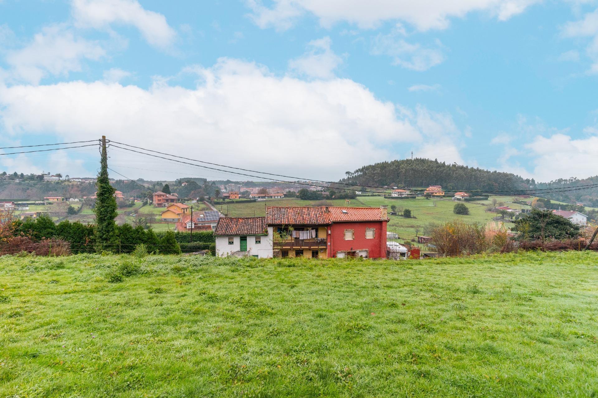 Fincas y solares-Venta-CastrillÃ³n-2033159-Foto-15