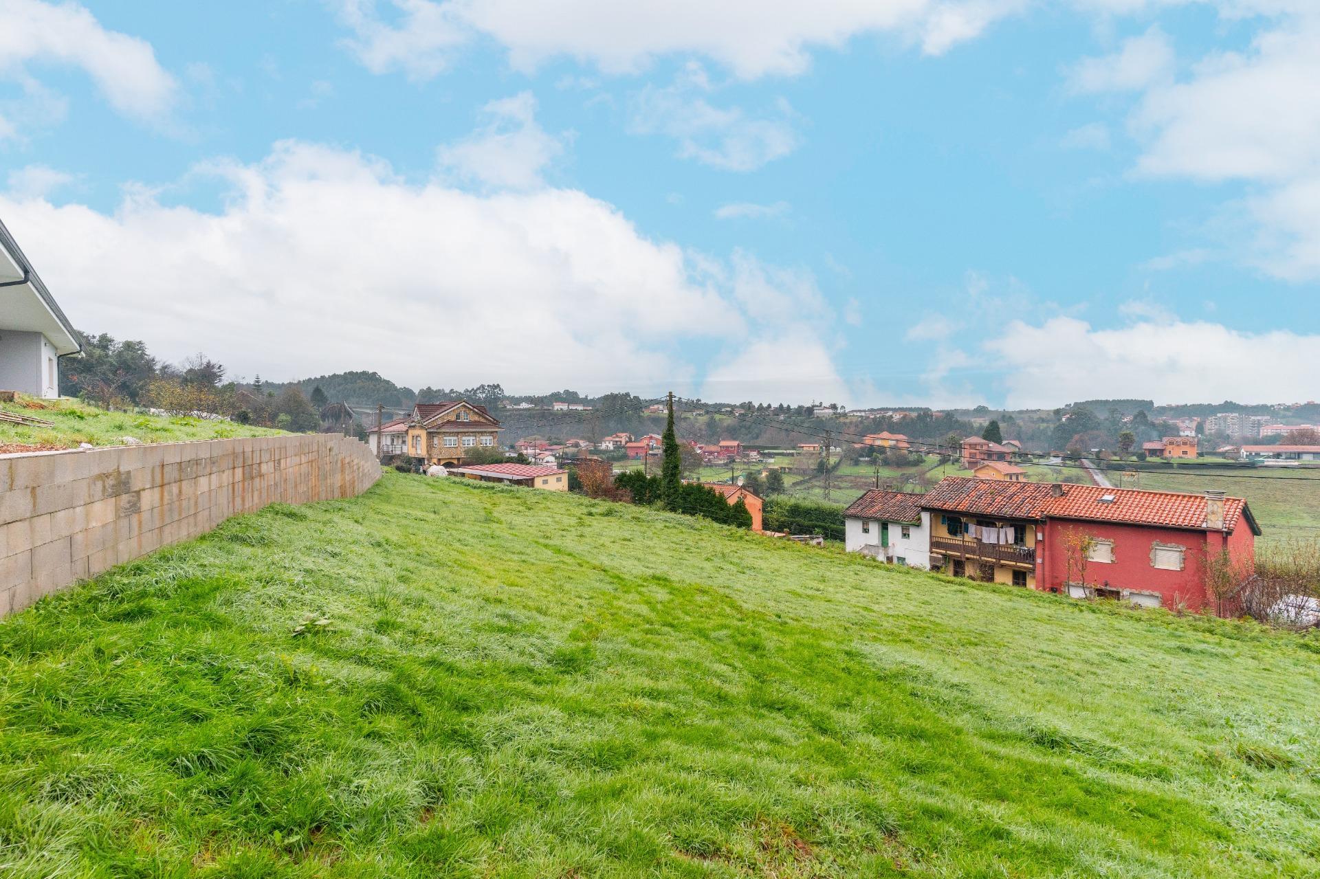 Fincas y solares-Venta-CastrillÃ³n-2033159-Foto-17