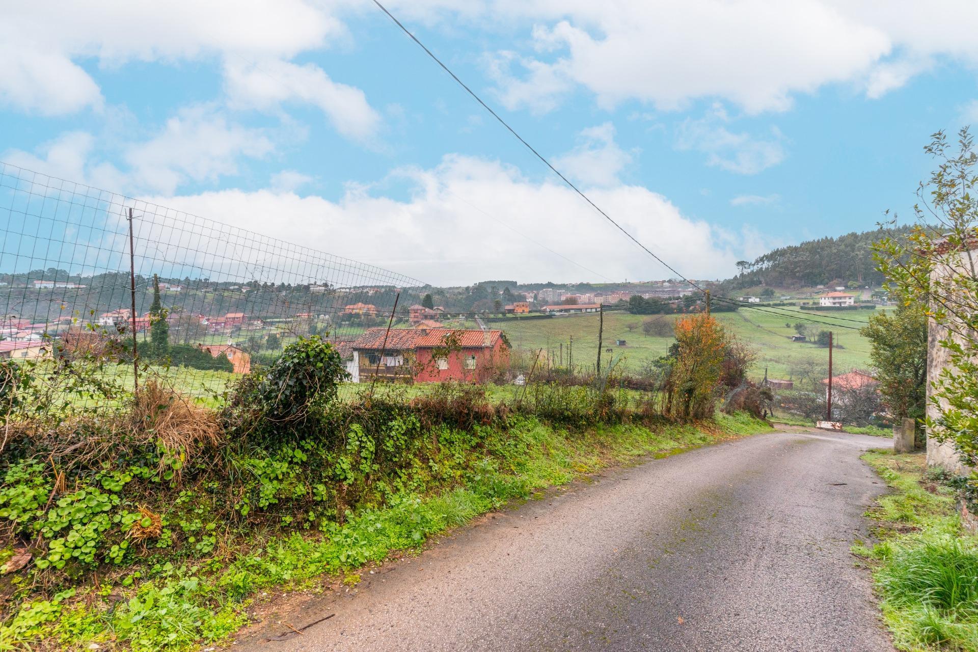 Fincas y solares-Venta-CastrillÃ³n-2033159-Foto-19