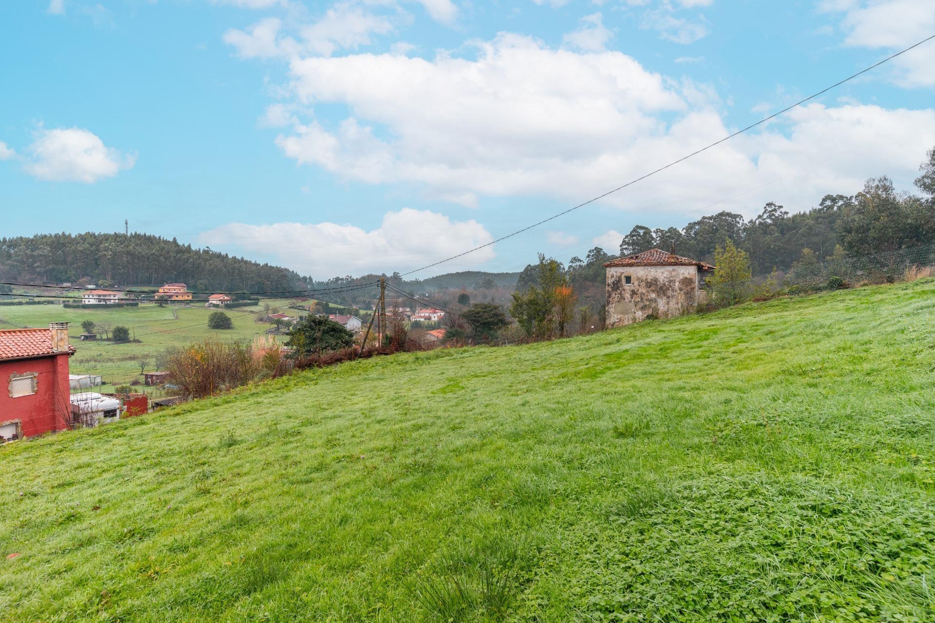 Fincas y solares-Venta-CastrillÃ³n-2033159-Foto-16