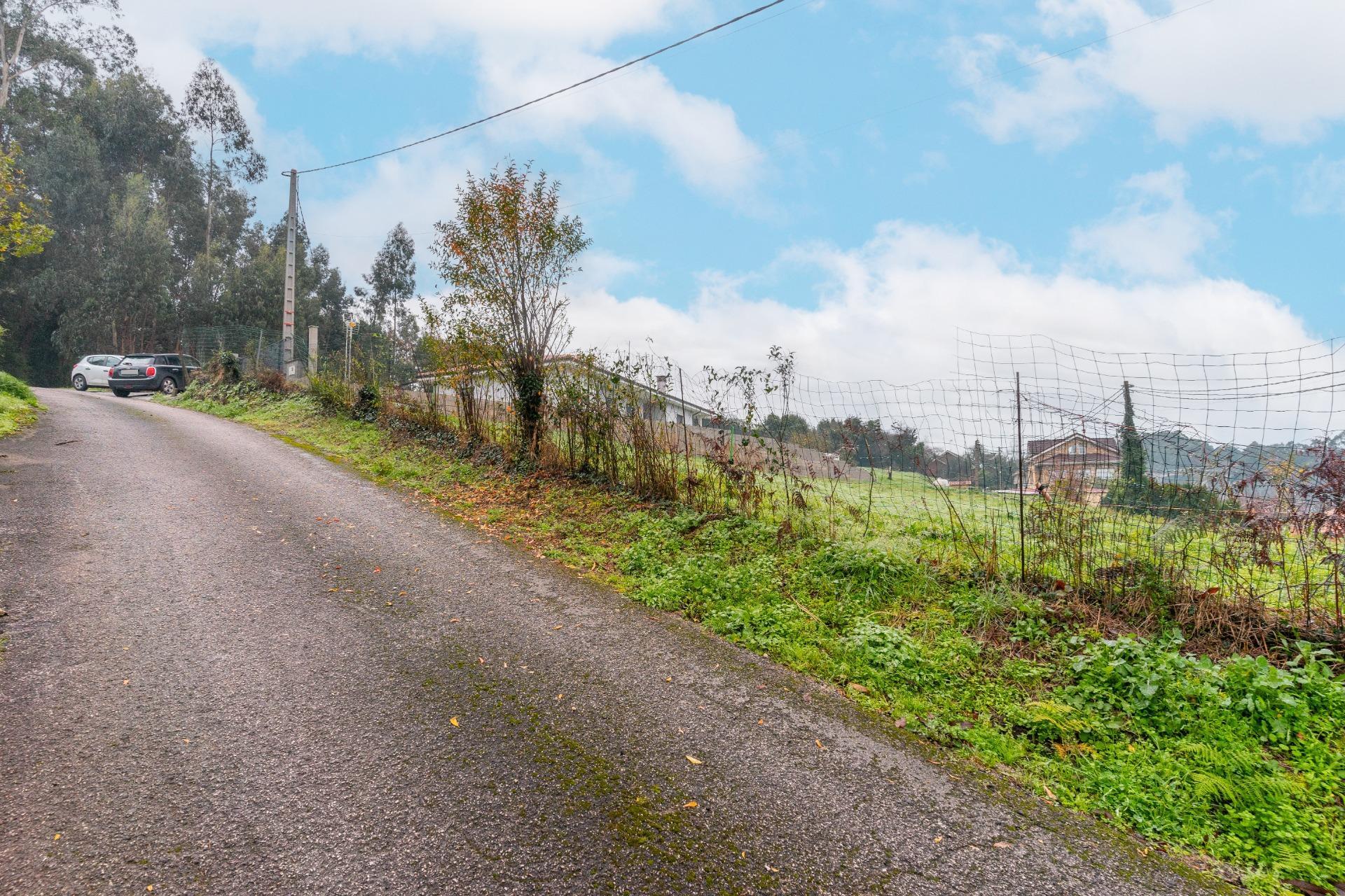 Fincas y solares-Venta-CastrillÃ³n-2033159-Foto-20