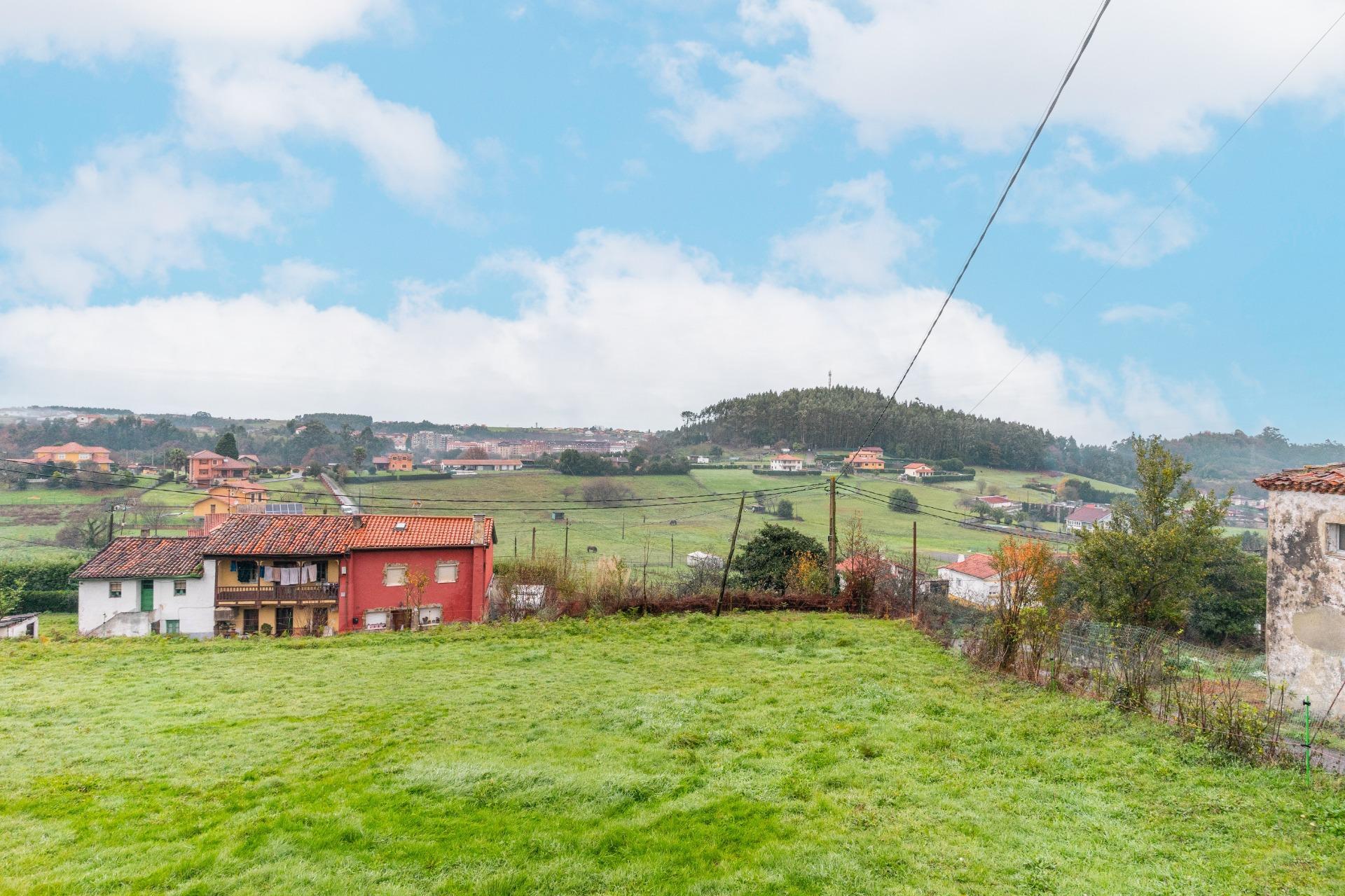 Fincas y solares-Venta-CastrillÃ³n-2033159-Foto-23