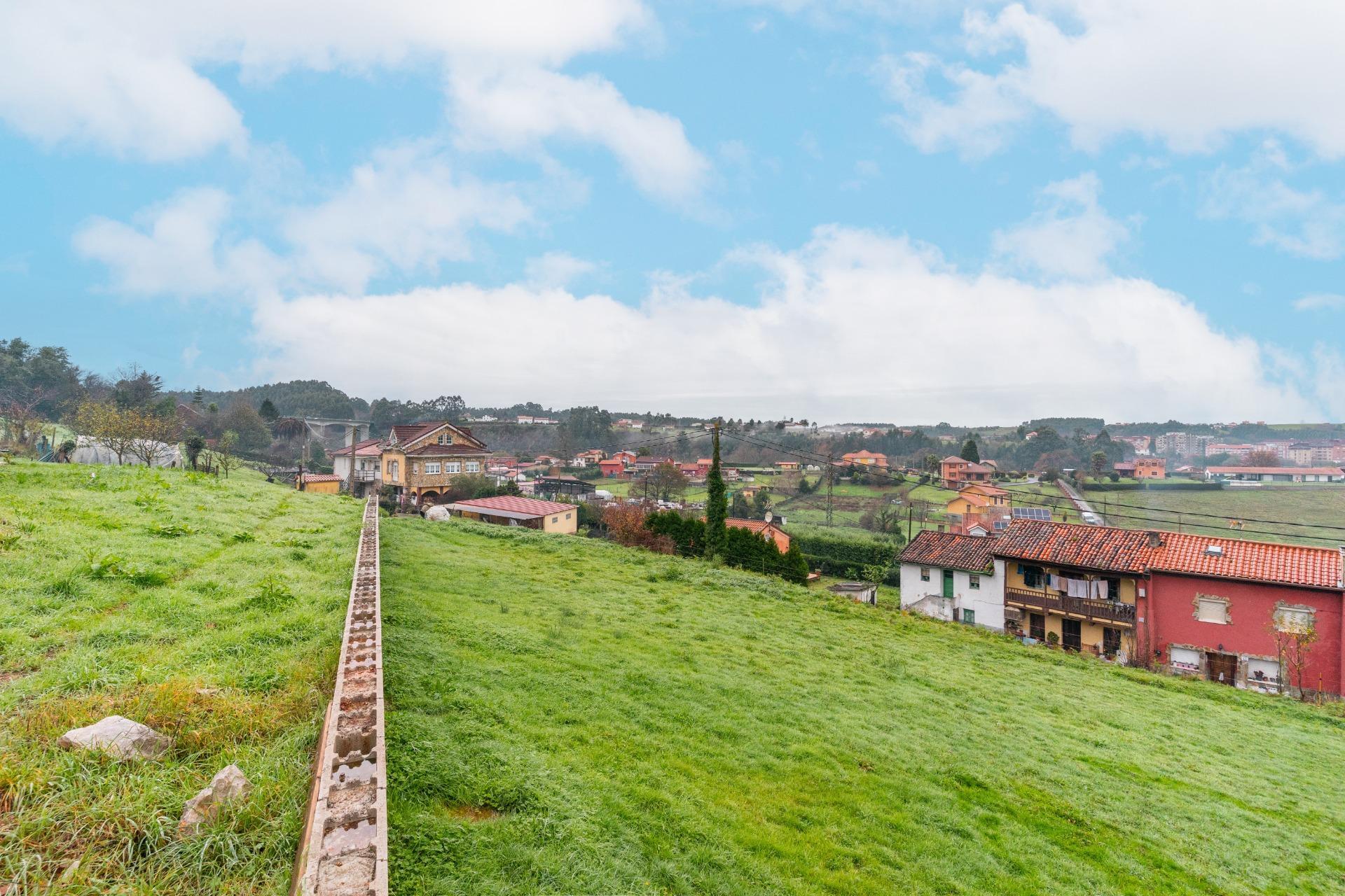 Fincas y solares-Venta-CastrillÃ³n-2033159-Foto-24