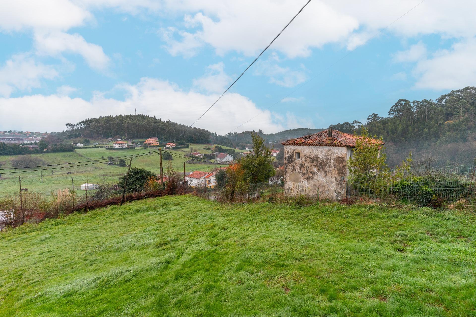 Fincas y solares-Venta-CastrillÃ³n-2033159-Foto-25