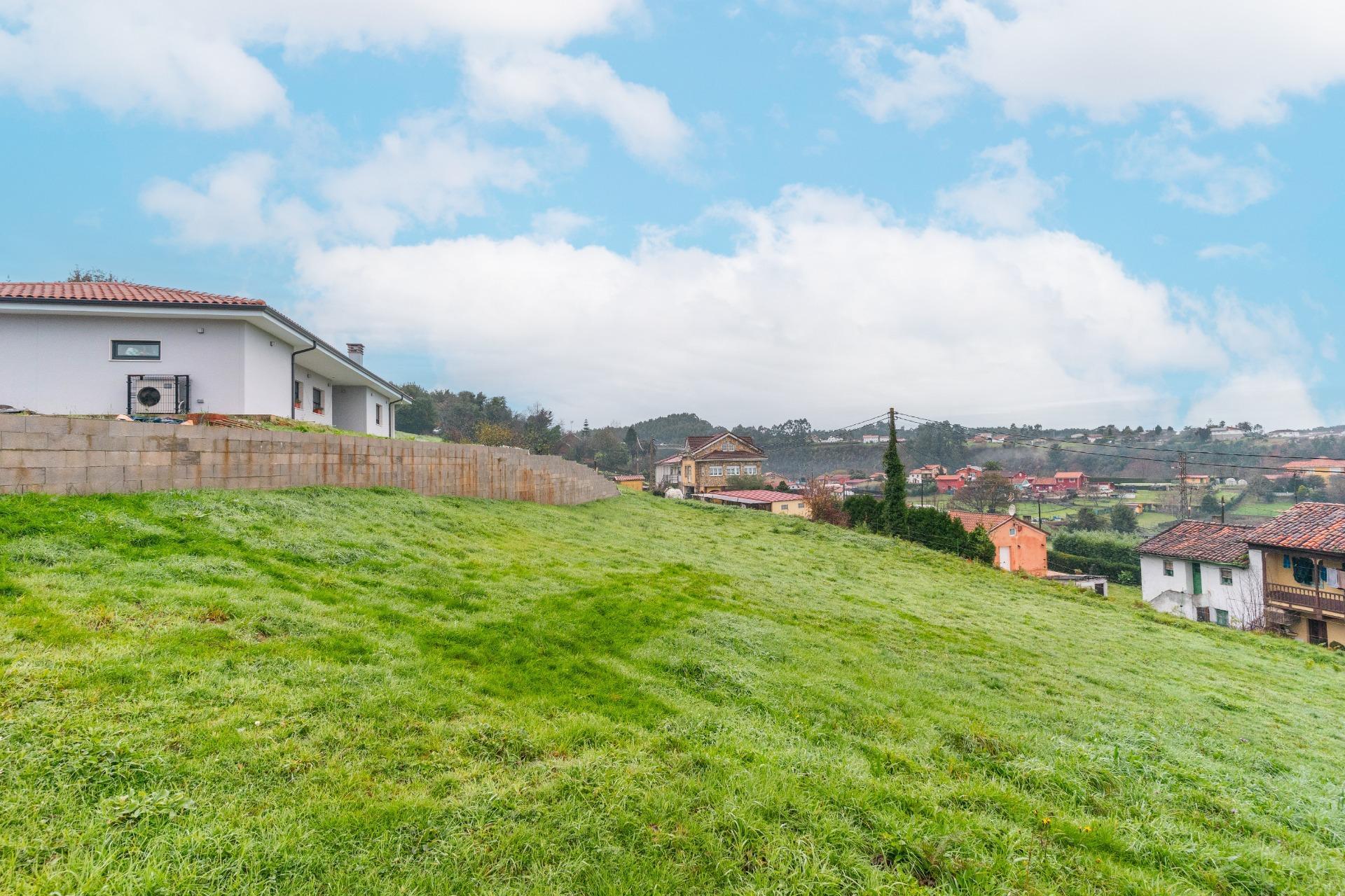 Fincas y solares-Venta-CastrillÃ³n-2033159-Foto-27