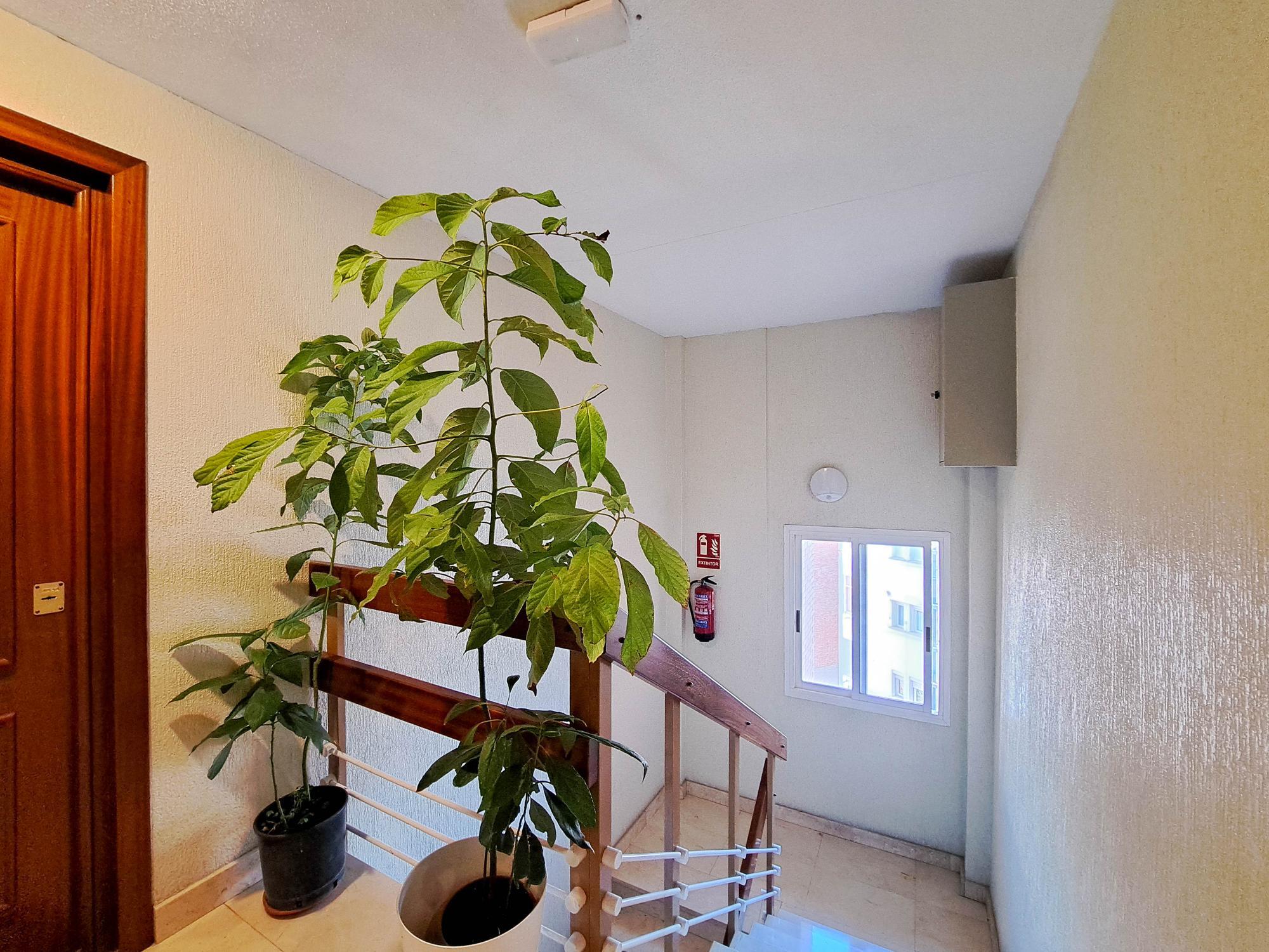 Pisos-Alquiler-Madrid-2033174-Foto-38