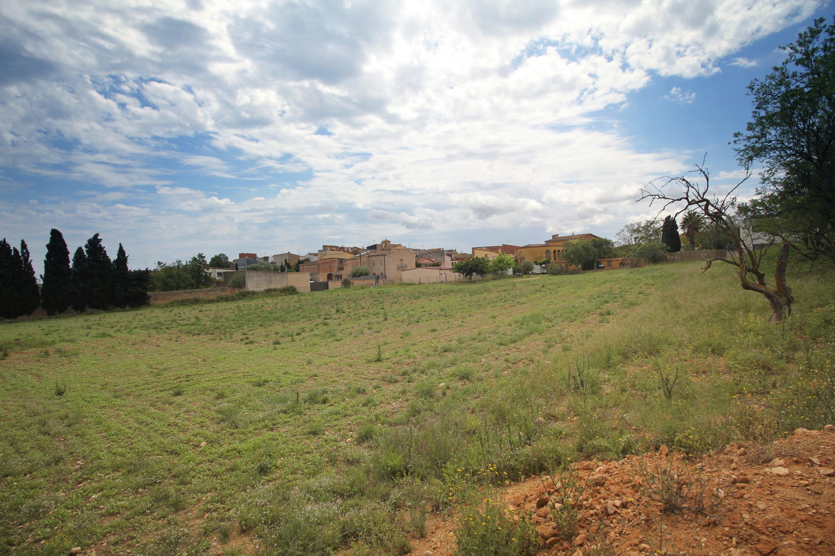 Fincas y solares en Albons