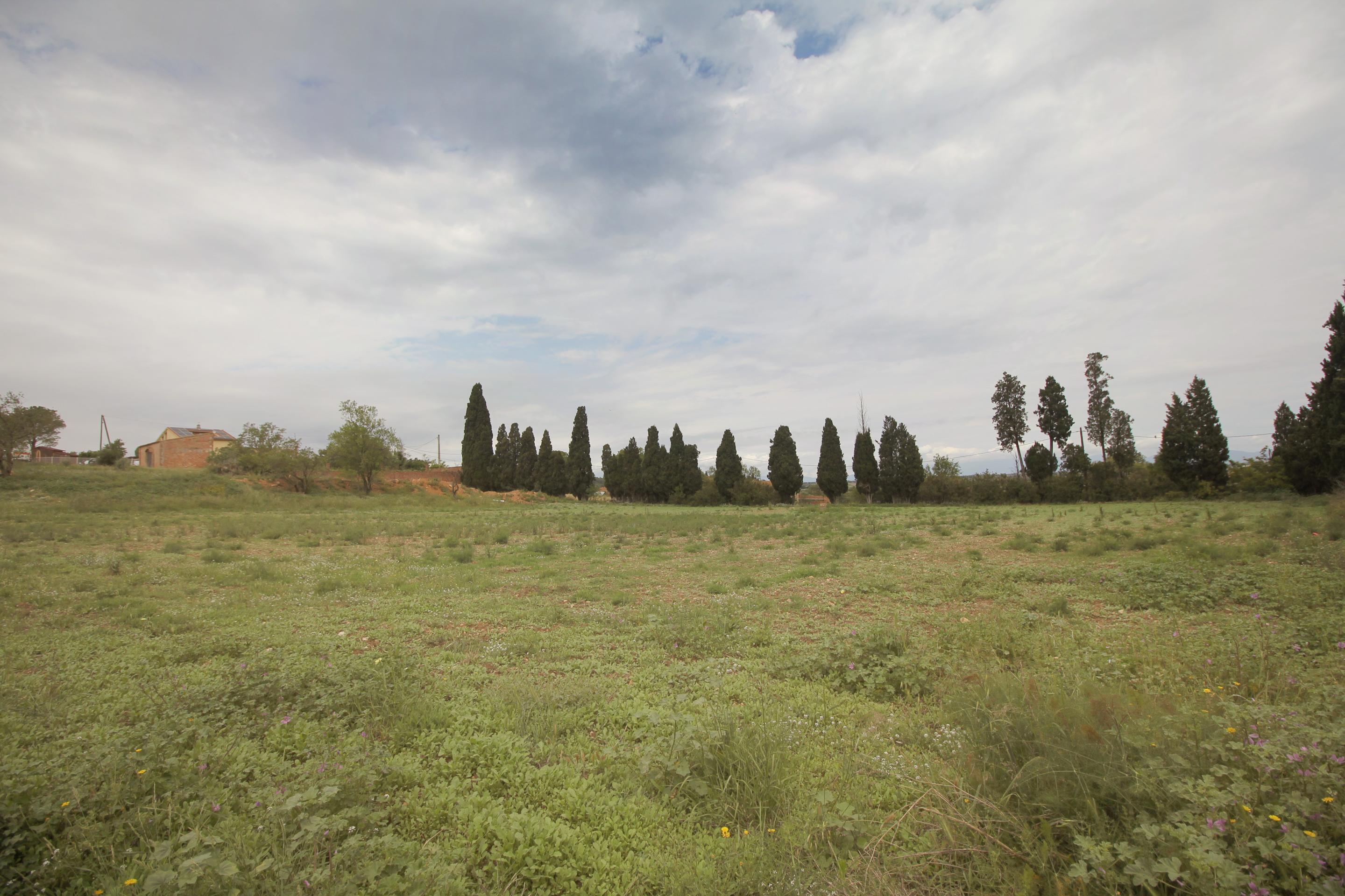 Fincas y solares en Albons