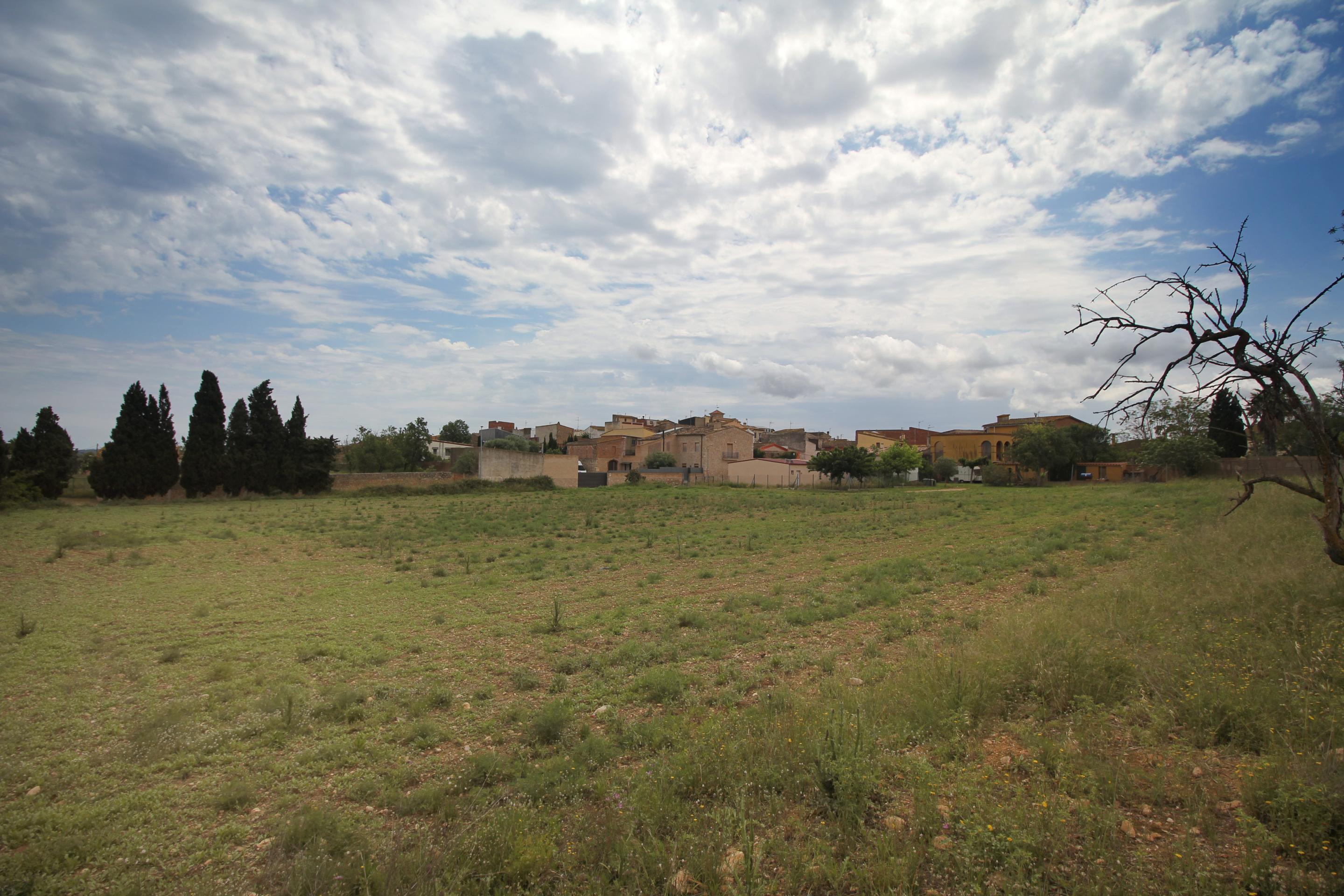 Fincas y solares en Albons