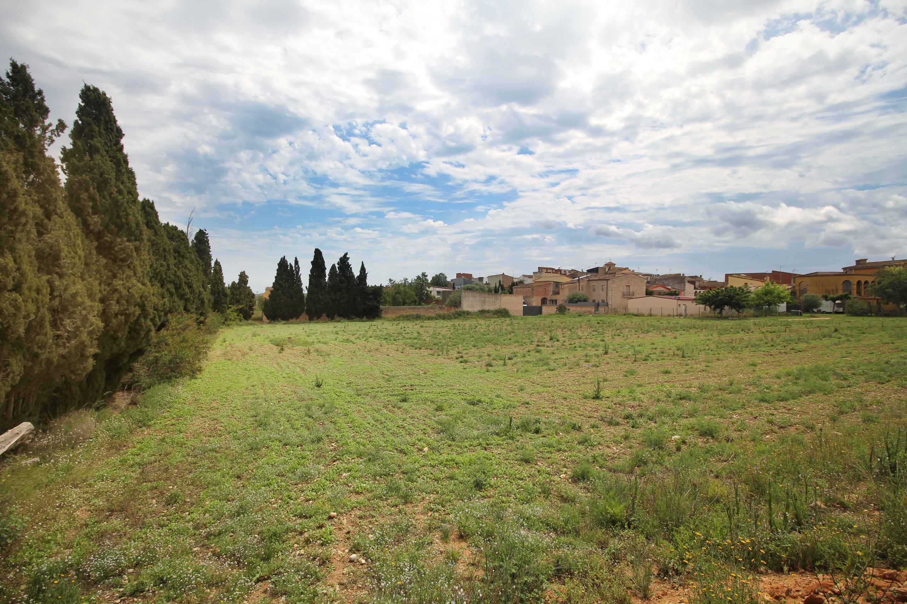 Fincas y solares en Albons