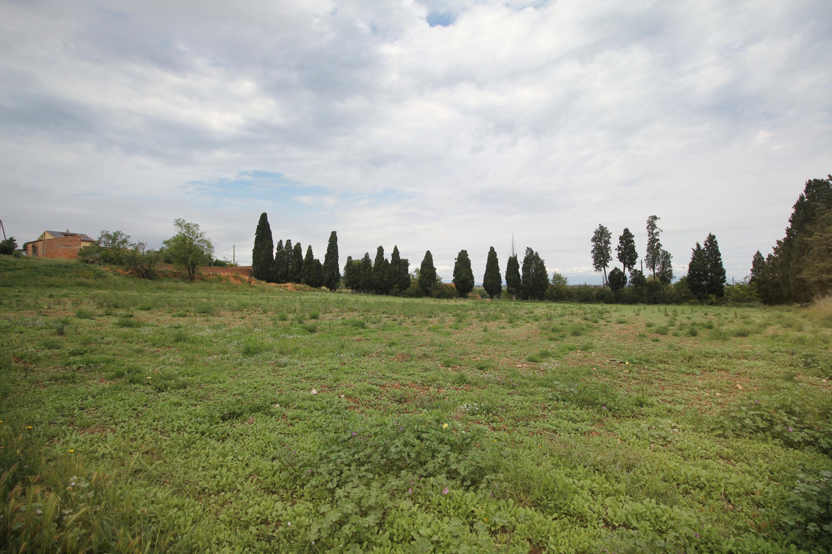 Fincas y solares en Albons