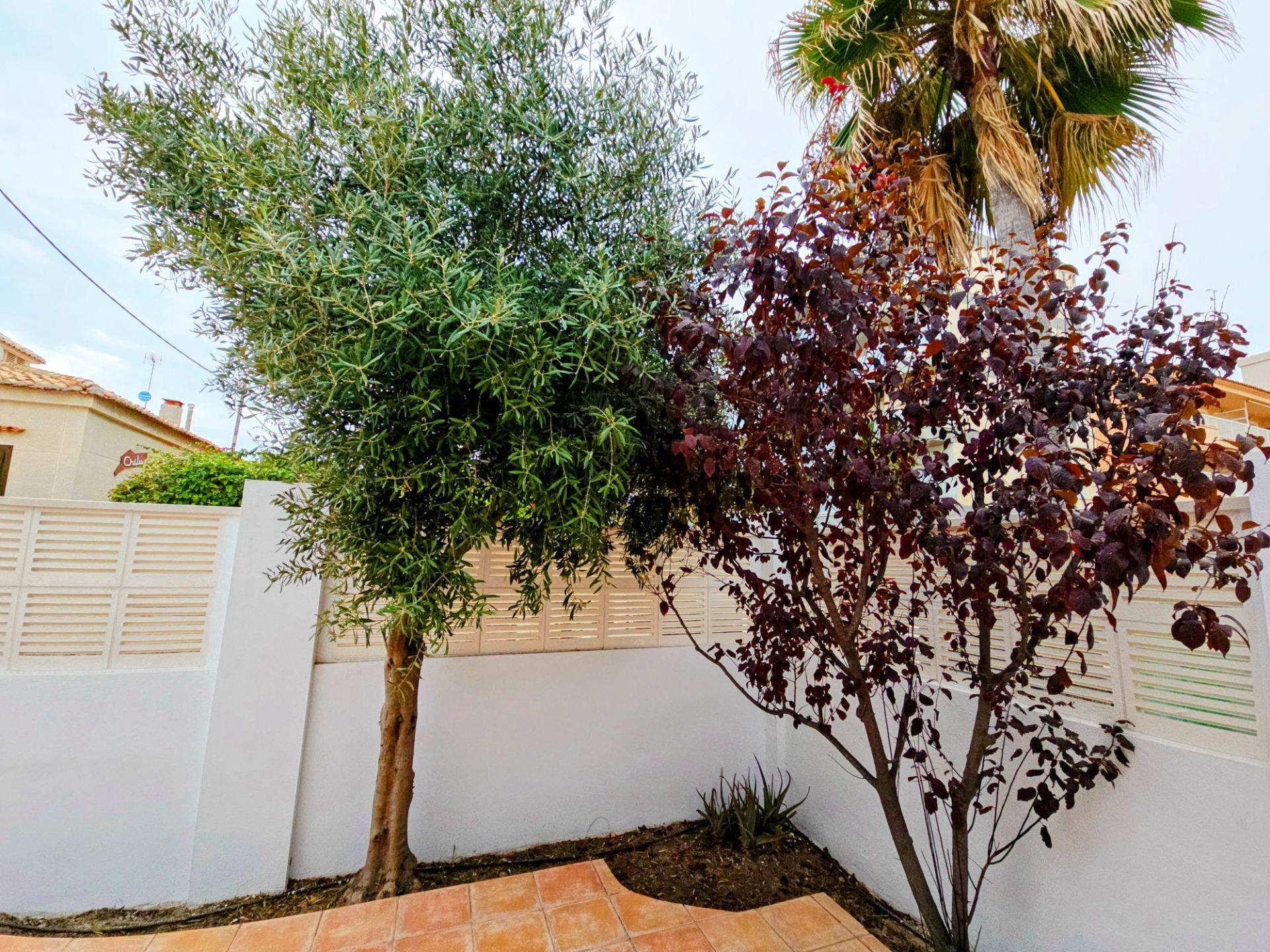 Casas o chalets-Alquiler-Miramar-1838075-Foto-57