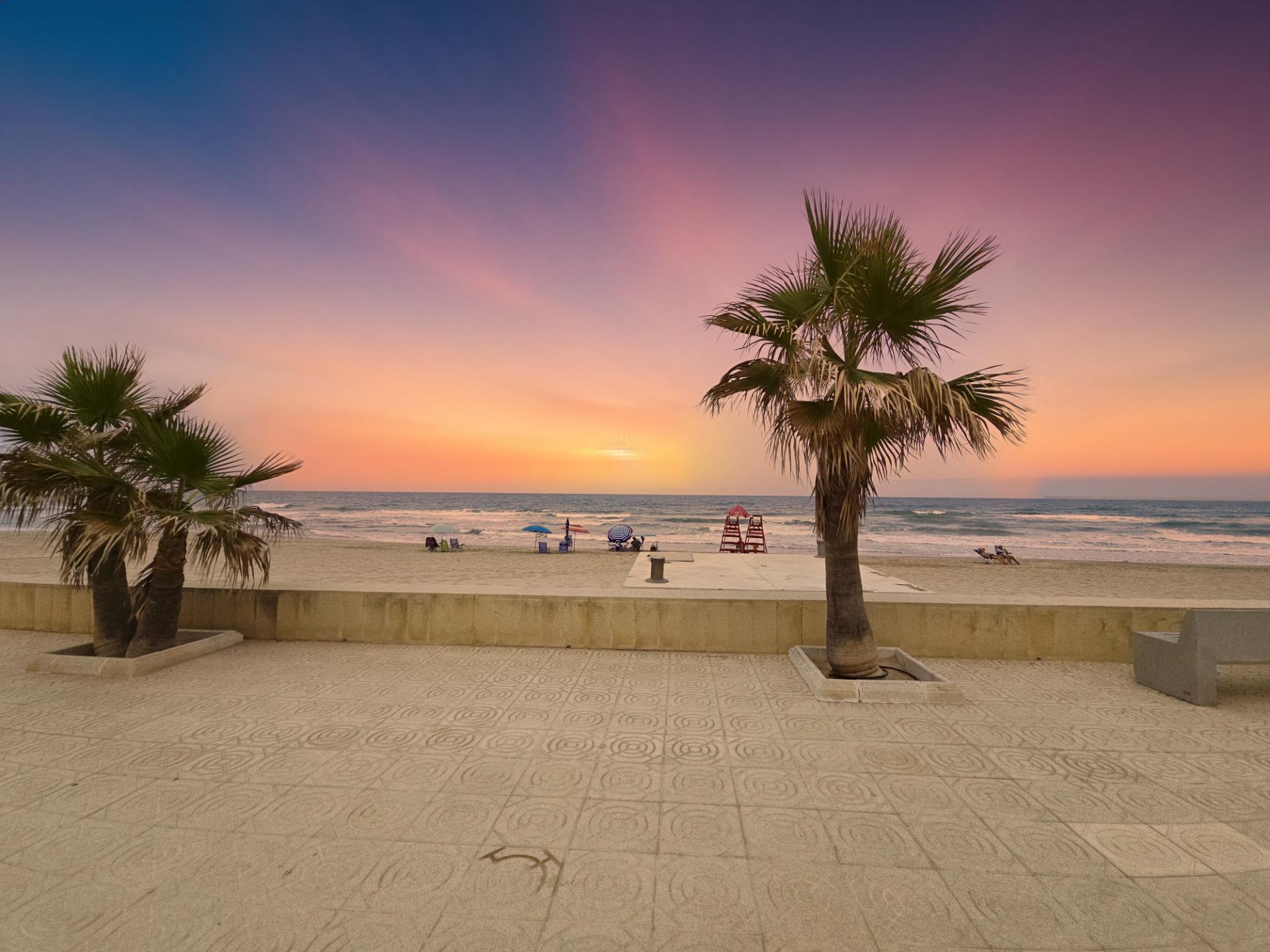 Casas o chalets-Alquiler-Miramar-1838075-Foto-66