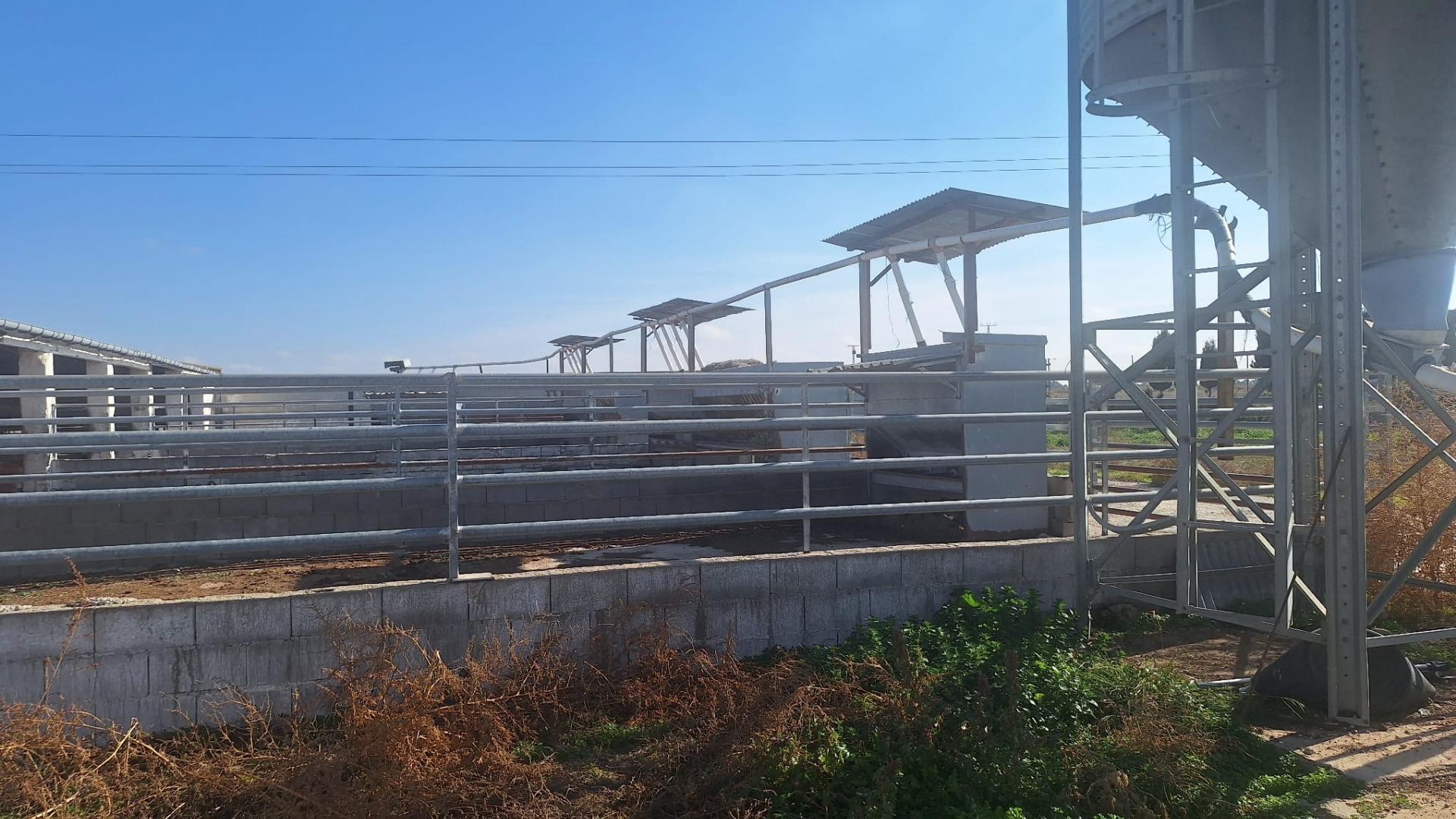 Gran Oportunidad de Inversión: Granja Activa en Pleno Funcionamiento ? Quintanar de la Orden (Toledo)