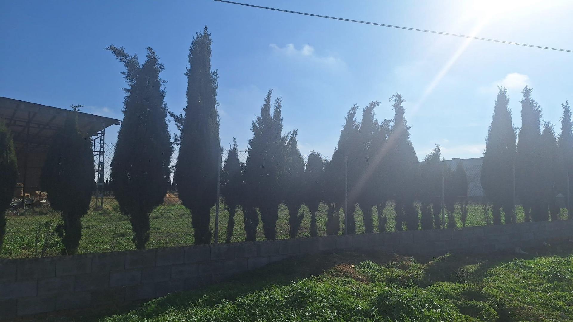 Gran Oportunidad de Inversión: Granja Activa en Pleno Funcionamiento ? Quintanar de la Orden (Toledo)