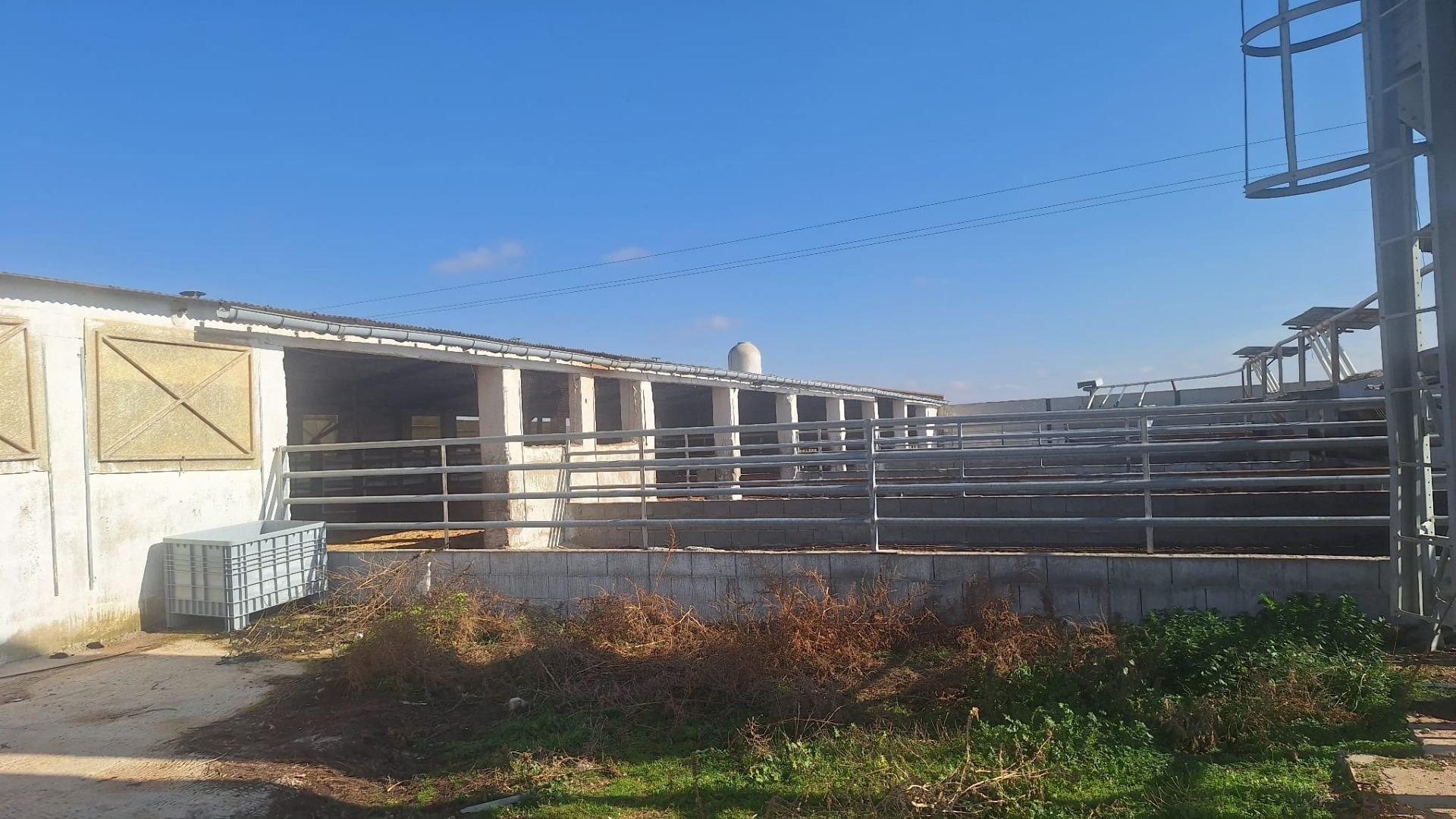 Gran Oportunidad de Inversión: Granja Activa en Pleno Funcionamiento ? Quintanar de la Orden (Toledo)