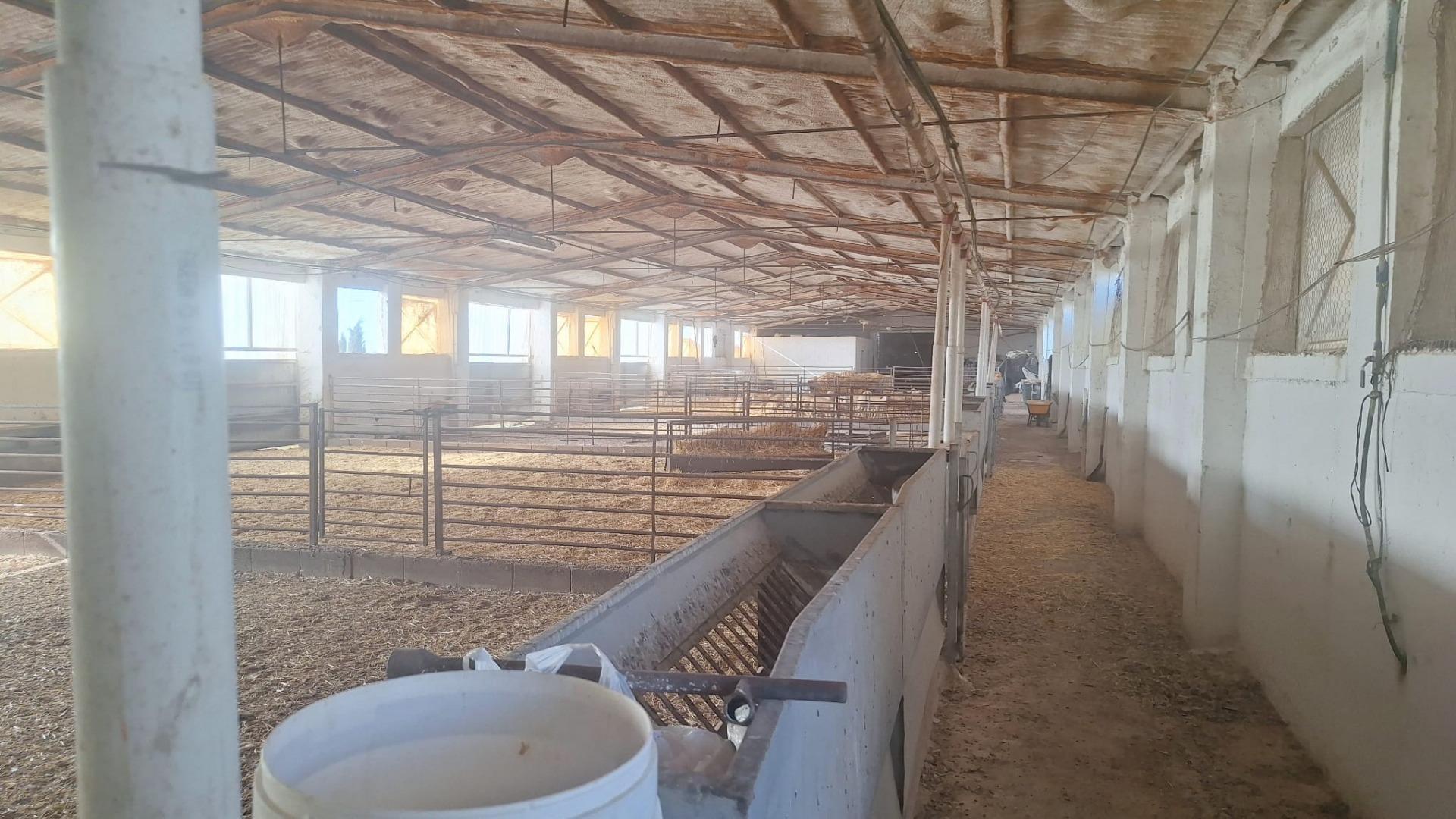 Gran Oportunidad de Inversión: Granja Activa en Pleno Funcionamiento ? Quintanar de la Orden (Toledo)