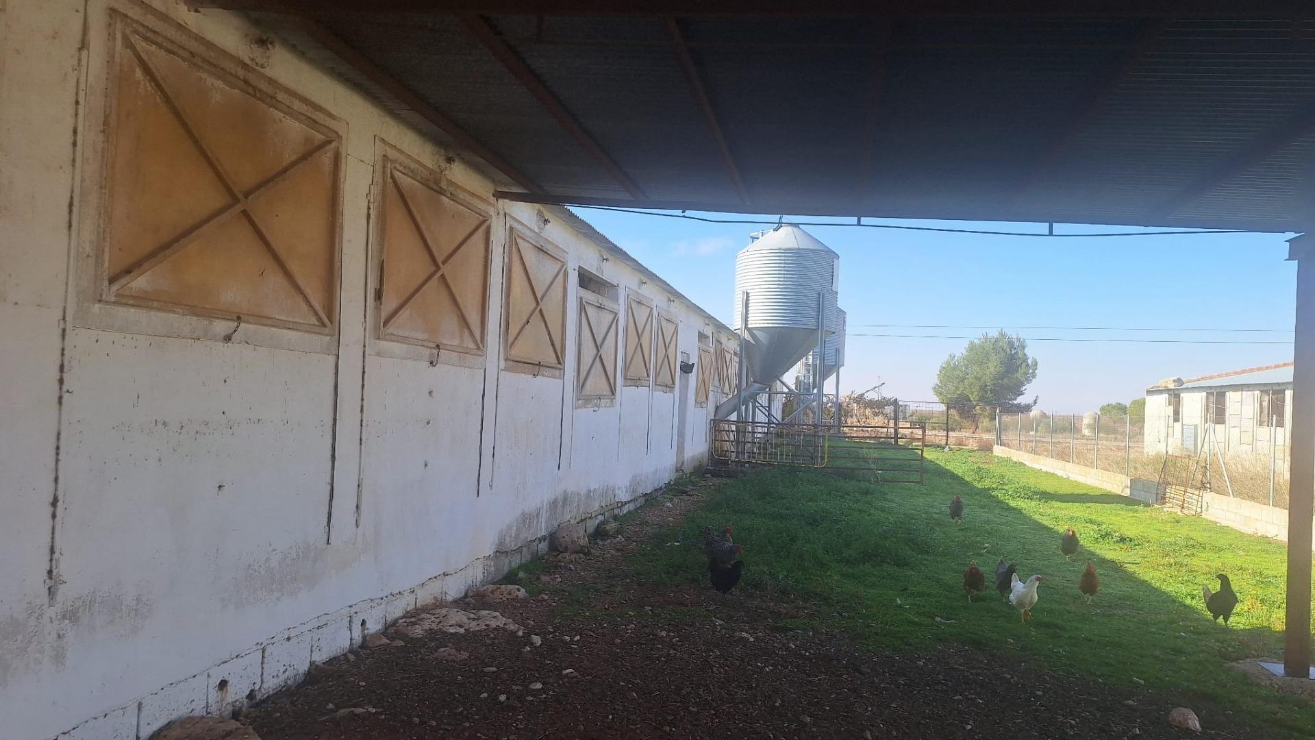 Gran Oportunidad de Inversión: Granja Activa en Pleno Funcionamiento ? Quintanar de la Orden (Toledo)
