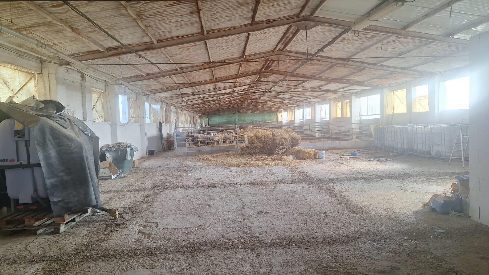 Gran Oportunidad de Inversión: Granja Activa en Pleno Funcionamiento ? Quintanar de la Orden (Toledo)