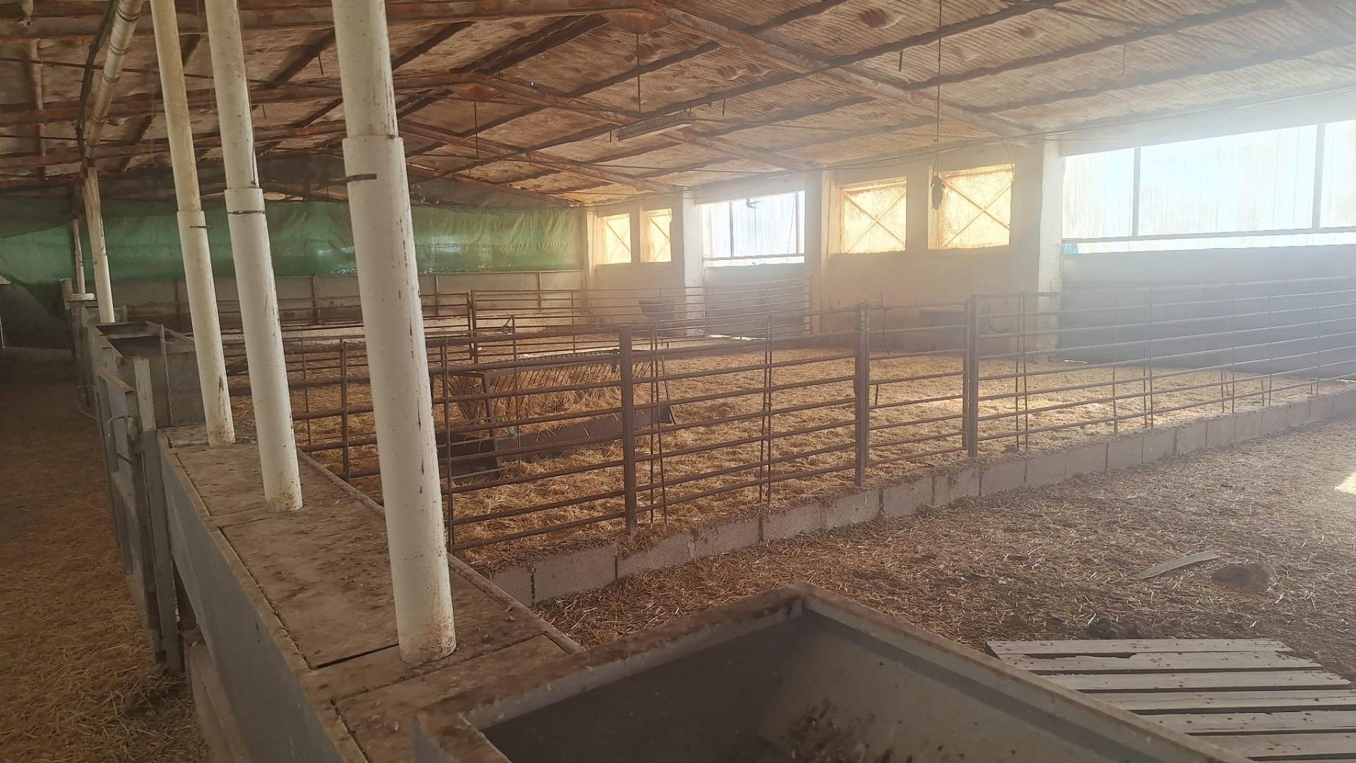 Gran Oportunidad de Inversión: Granja Activa en Pleno Funcionamiento ? Quintanar de la Orden (Toledo)