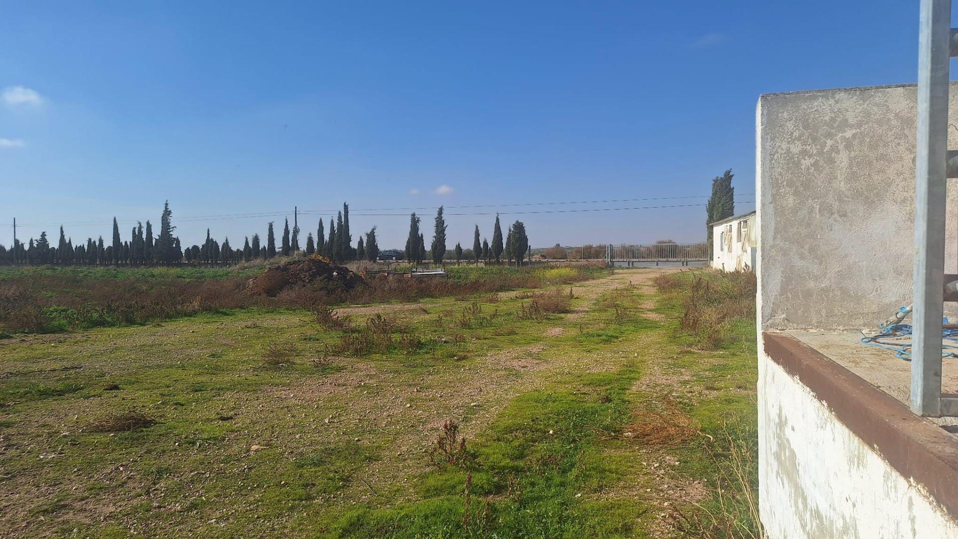 Gran Oportunidad de Inversión: Granja Activa en Pleno Funcionamiento ? Quintanar de la Orden (Toledo)