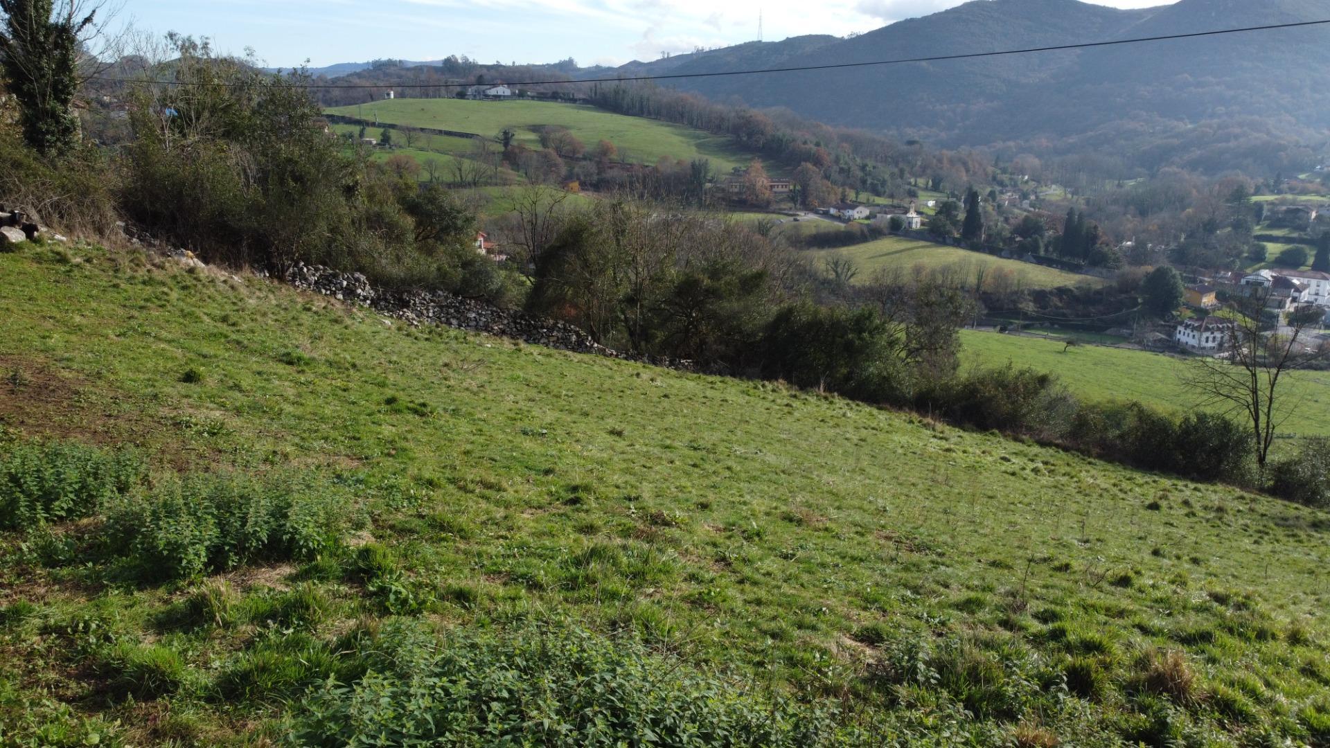 ? FINCA EN PRIORIO ? OVIEDO