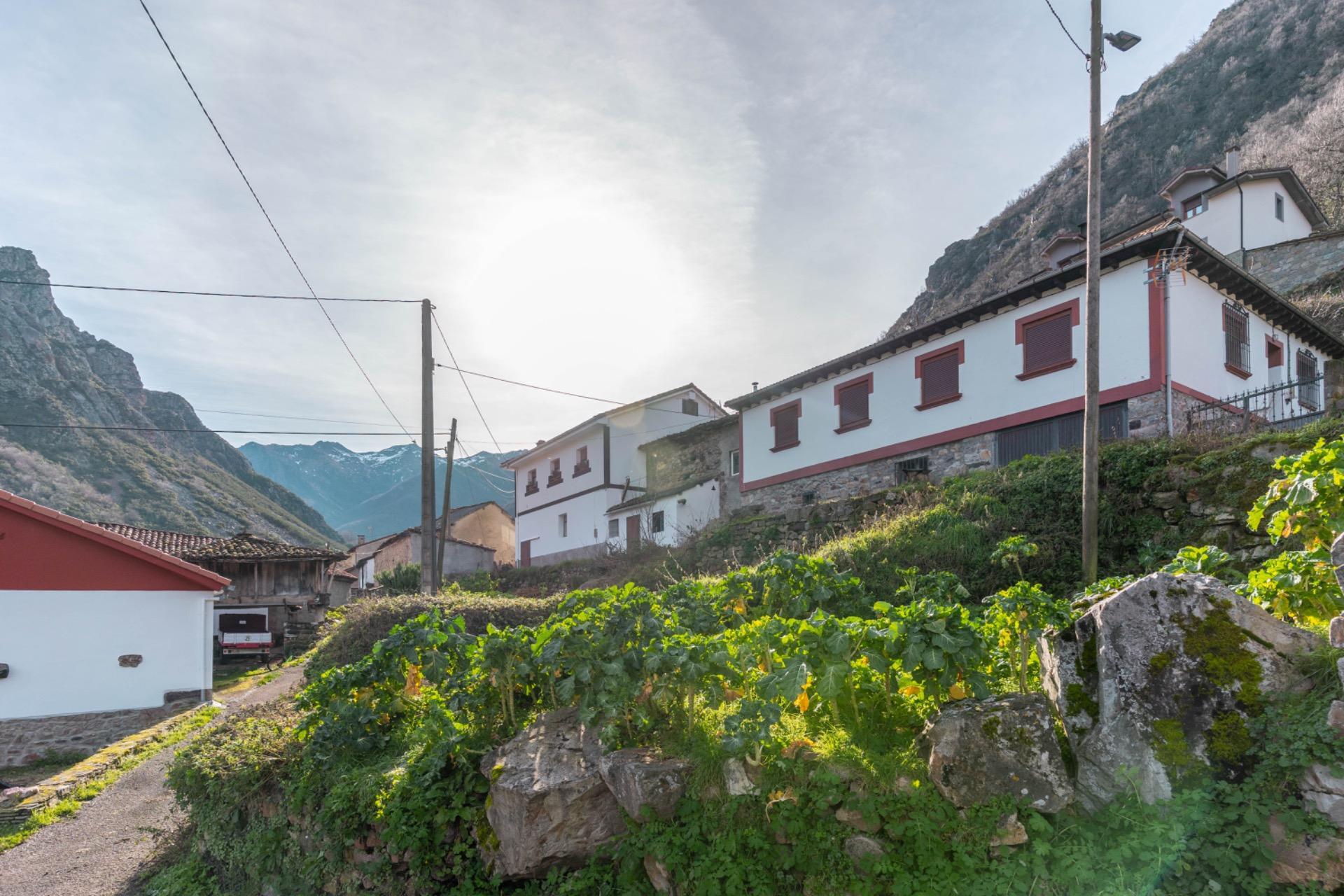 Casas o chalets-Venta-1536549