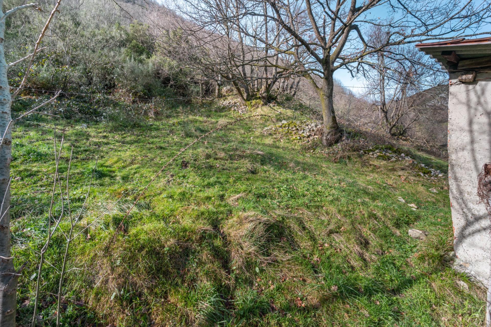 Casas o chalets-Venta-Somiedo-1536549-Foto-38