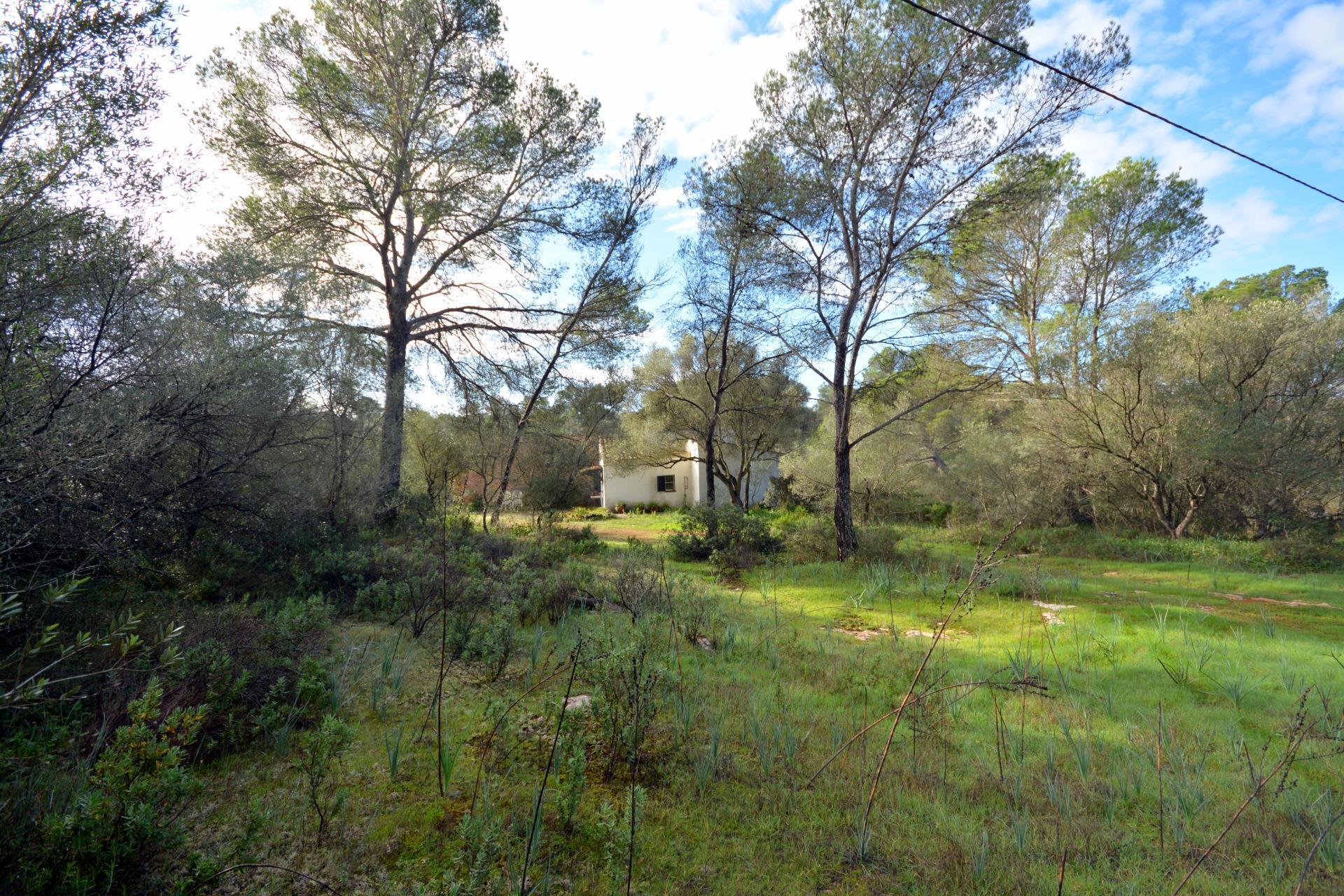 ENCANTADORA FINCA RÚSTICA EN CASA BLANCA