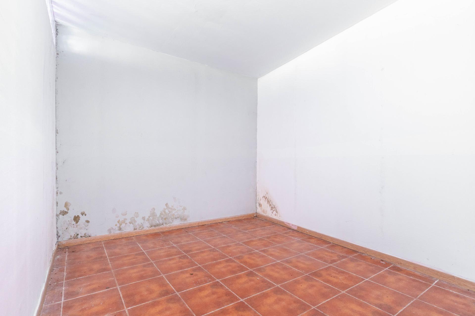 Negocios-Venta-PiloÃ±a-2033385-Foto-33