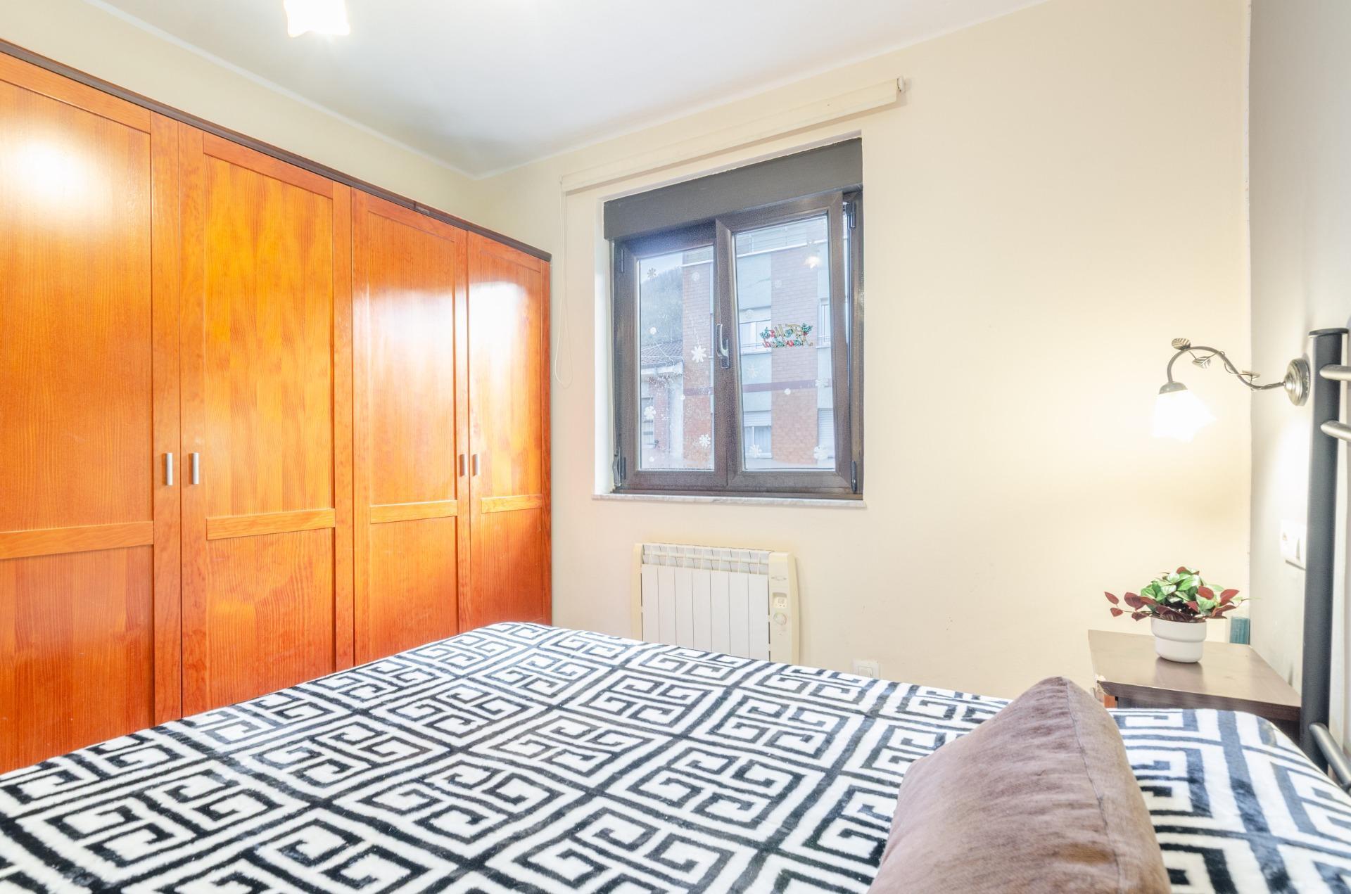 Pisos-Venta-Mieres-2033418-Foto-2