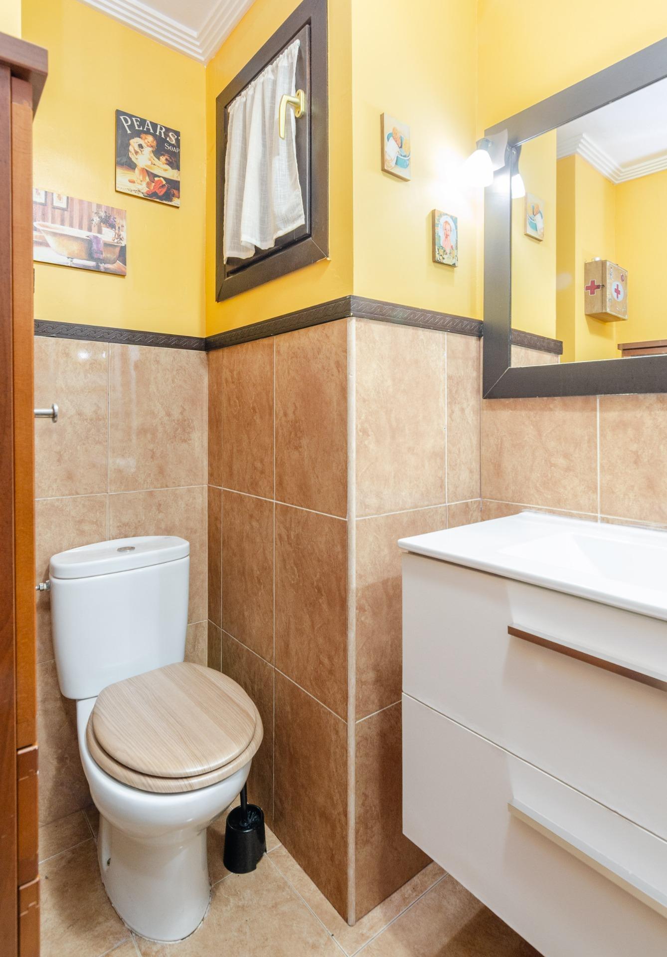 Pisos-Venta-Mieres-2033418-Foto-13