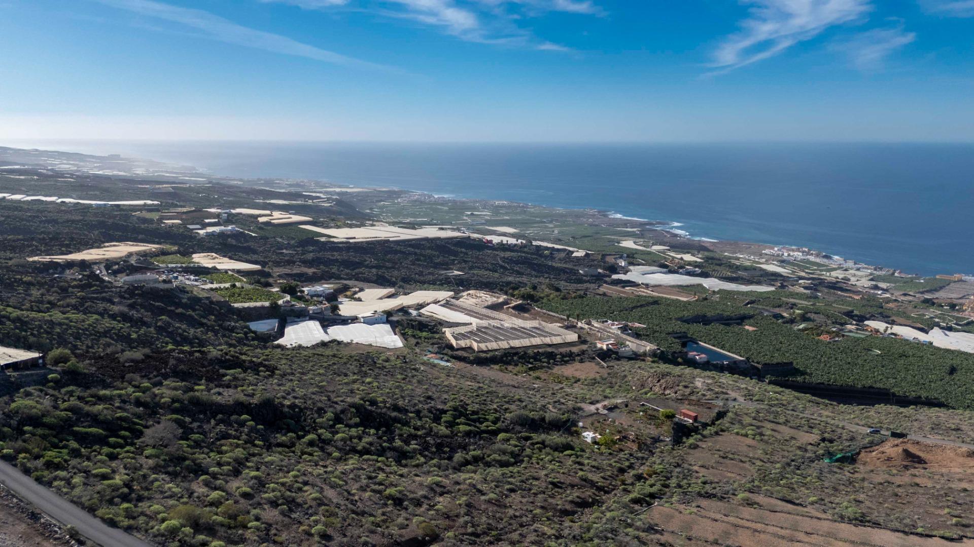 Fincas y solares-Venta-GuÃ­a de Isora-2033409-Foto-8