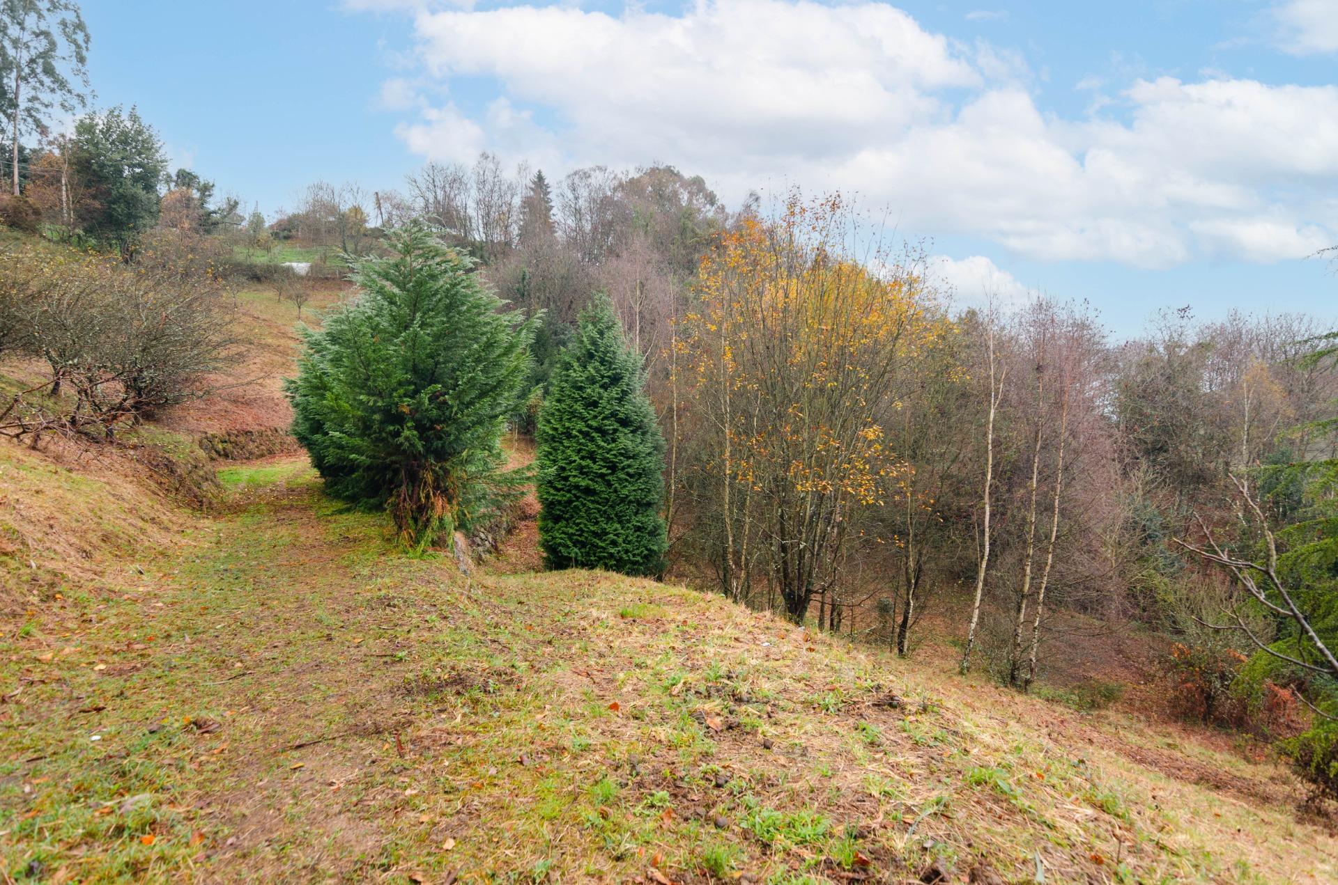 Casas o chalets-Venta-GijÃ³n-2033403-Foto-30