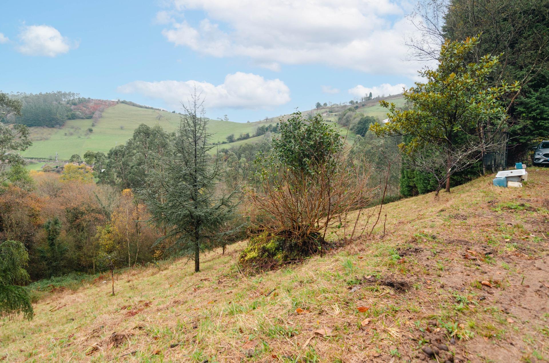 Casas o chalets-Venta-GijÃ³n-2033403-Foto-28