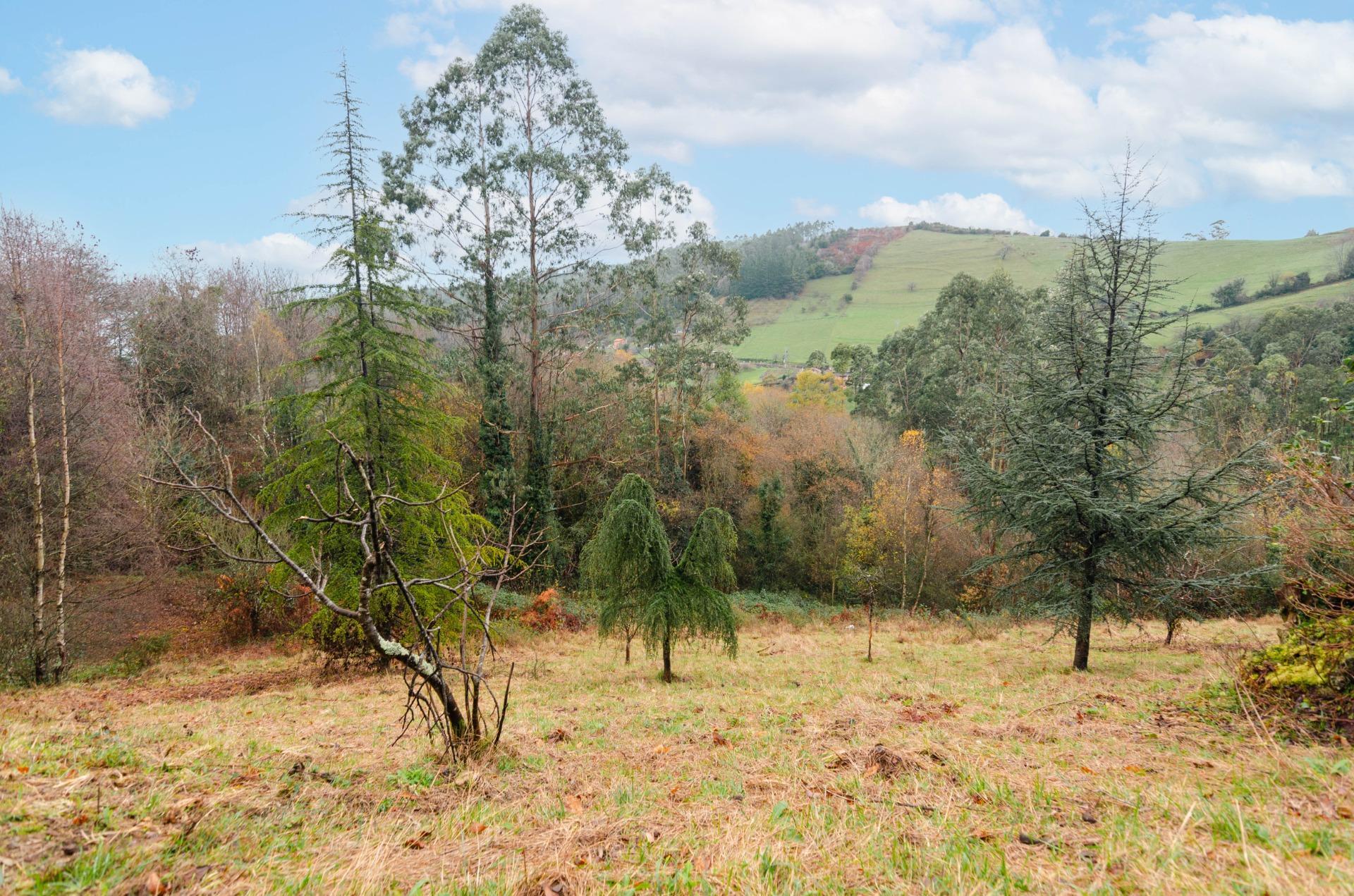 Casas o chalets-Venta-GijÃ³n-2033403-Foto-29