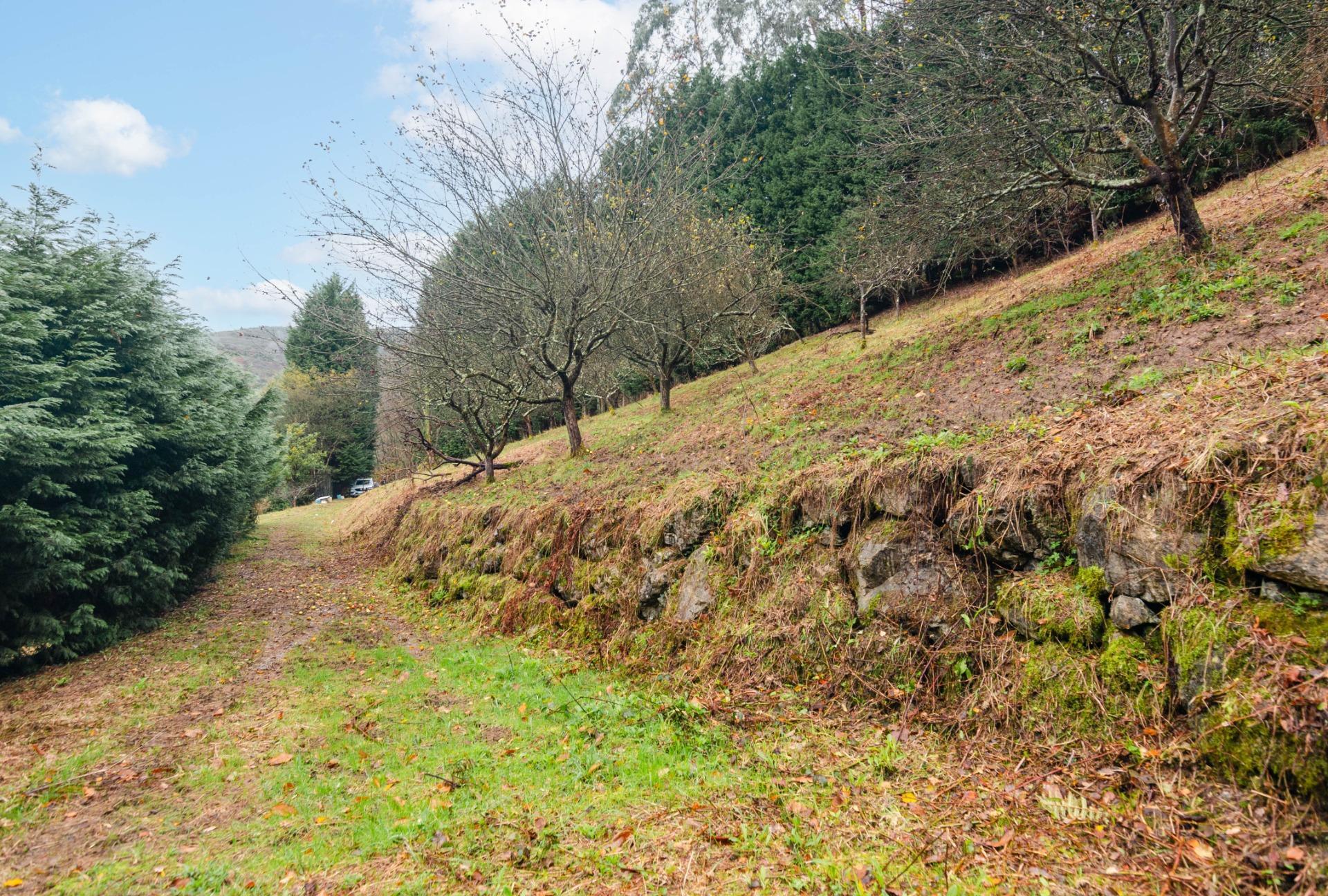 Casas o chalets-Venta-GijÃ³n-2033403-Foto-27