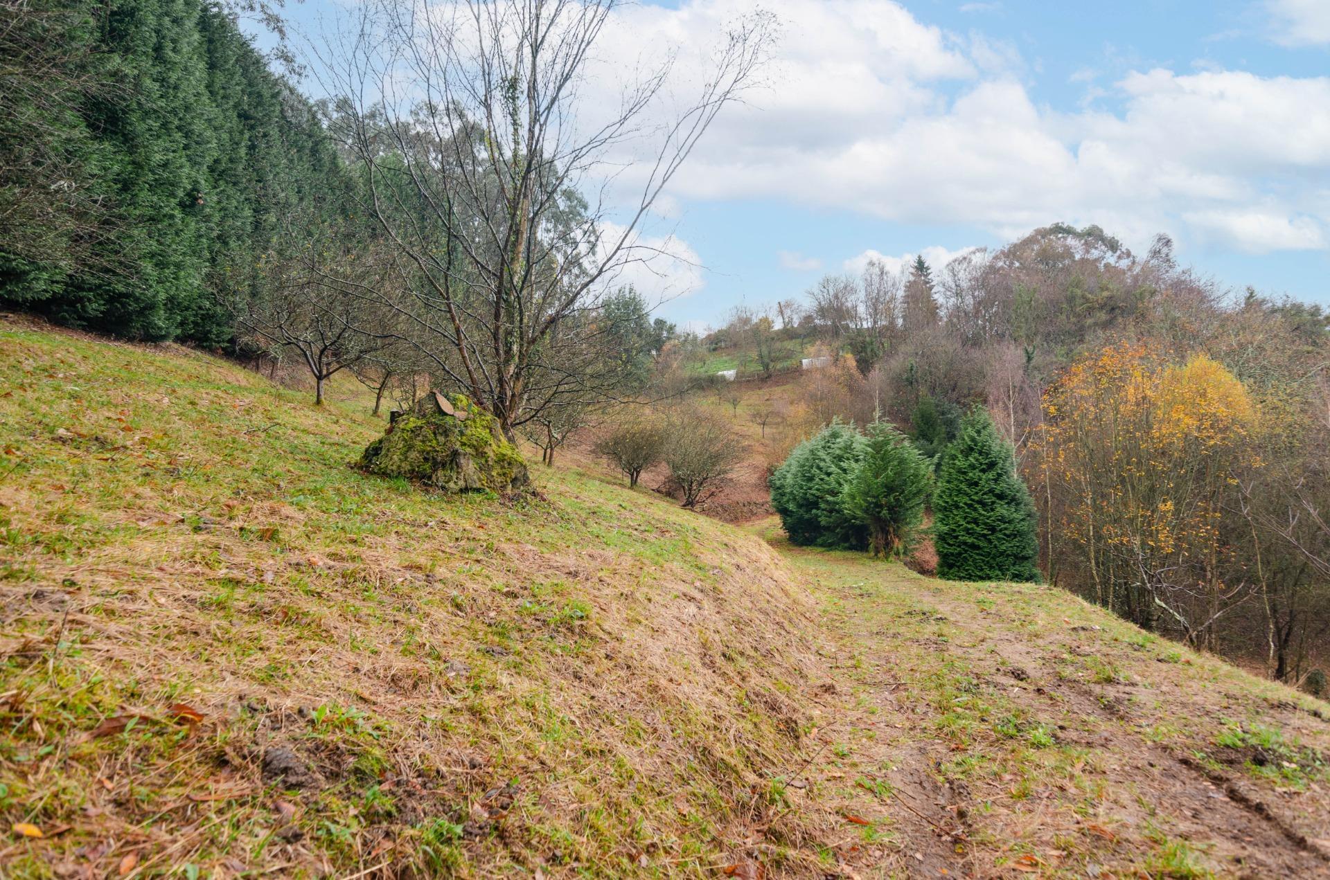 Casas o chalets-Venta-GijÃ³n-2033403-Foto-32