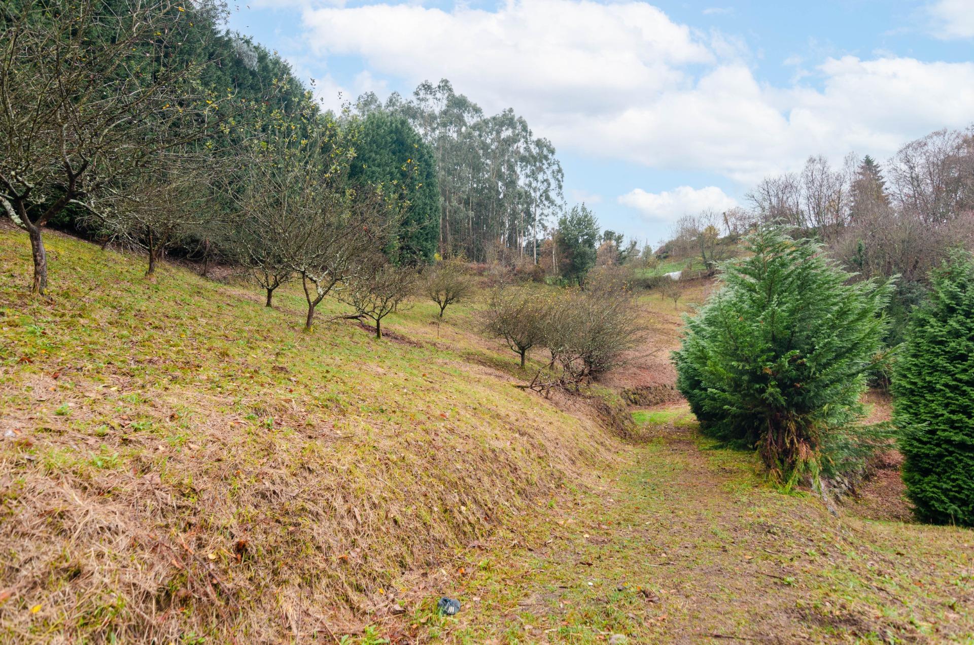 Casas o chalets-Venta-GijÃ³n-2033403-Foto-31