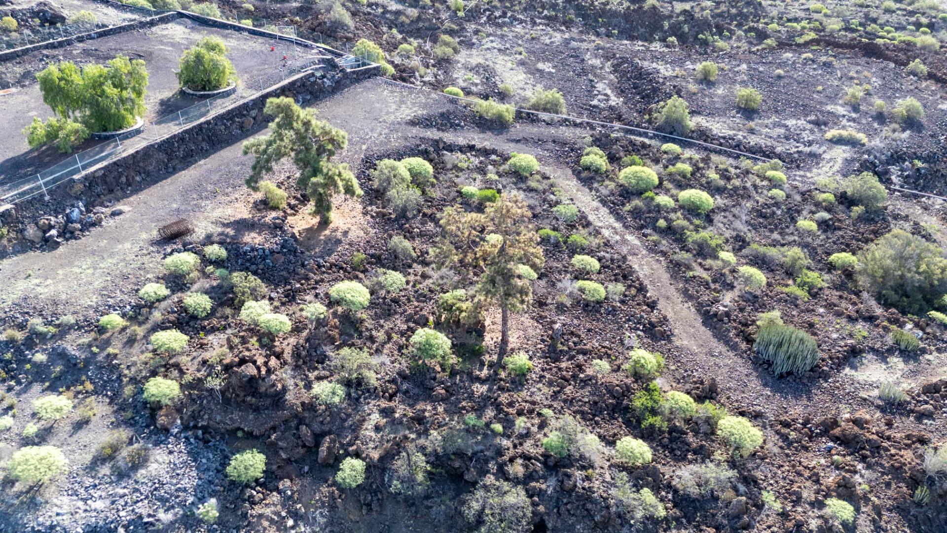 Fincas y solares-Venta-GuÃ­a de Isora-2033406-Foto-4