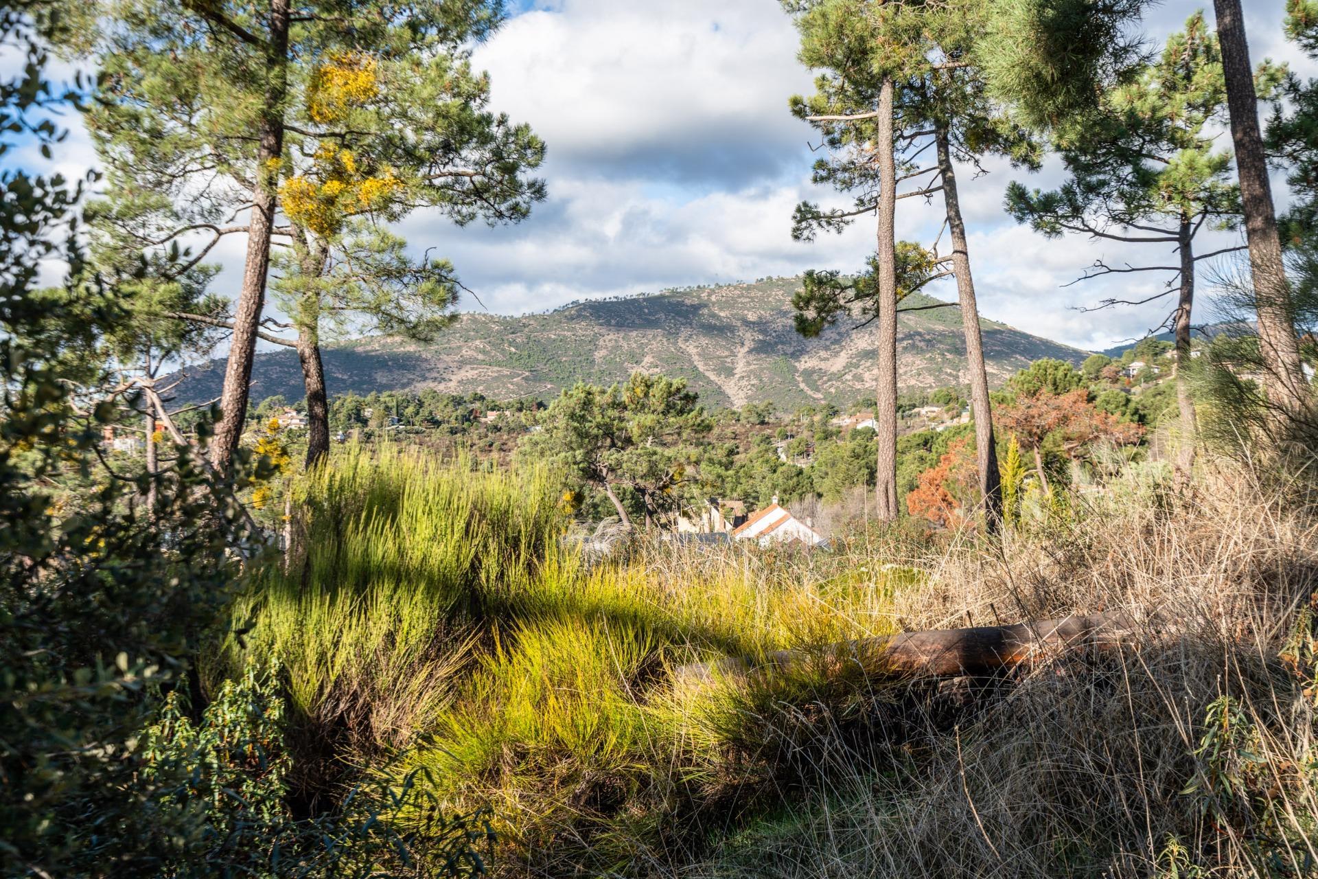 Casas o chalets-Venta-Robledo de Chavela-2033421-Foto-10