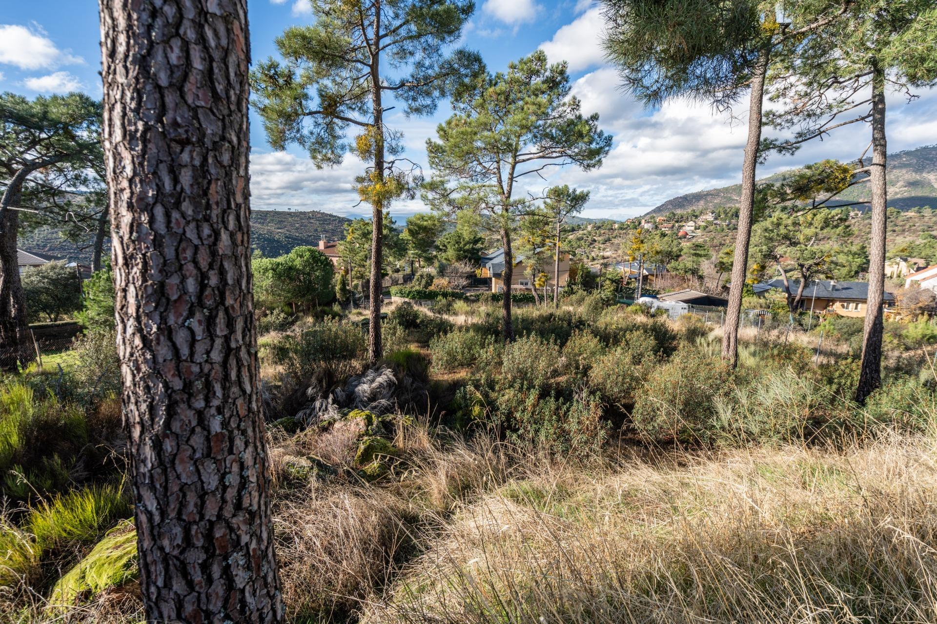 Casas o chalets-Venta-Robledo de Chavela-2033421-Foto-16