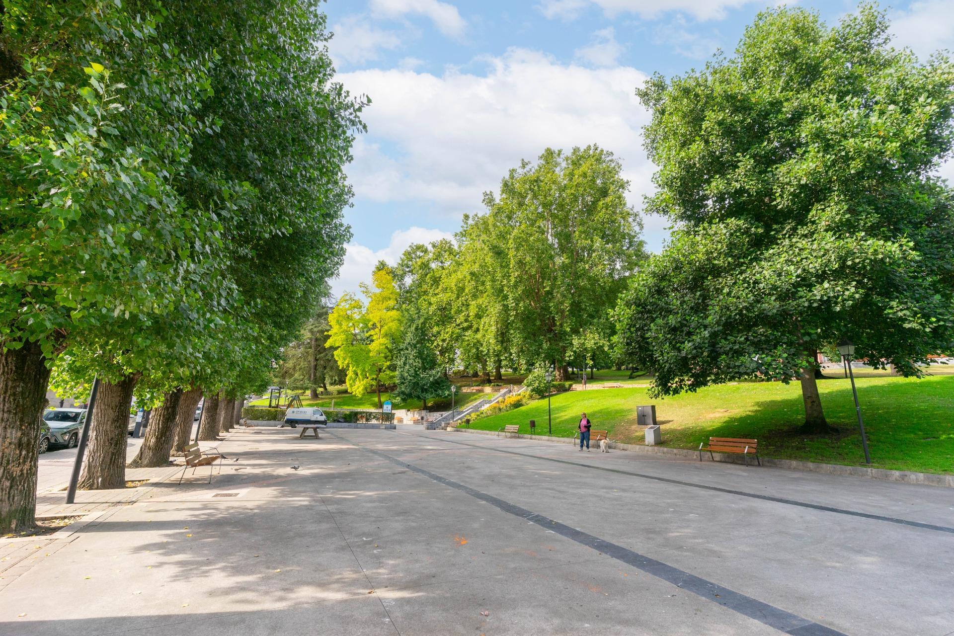 Amplio local en venta en Calle Fernando Alonso 32 ? Oviedo