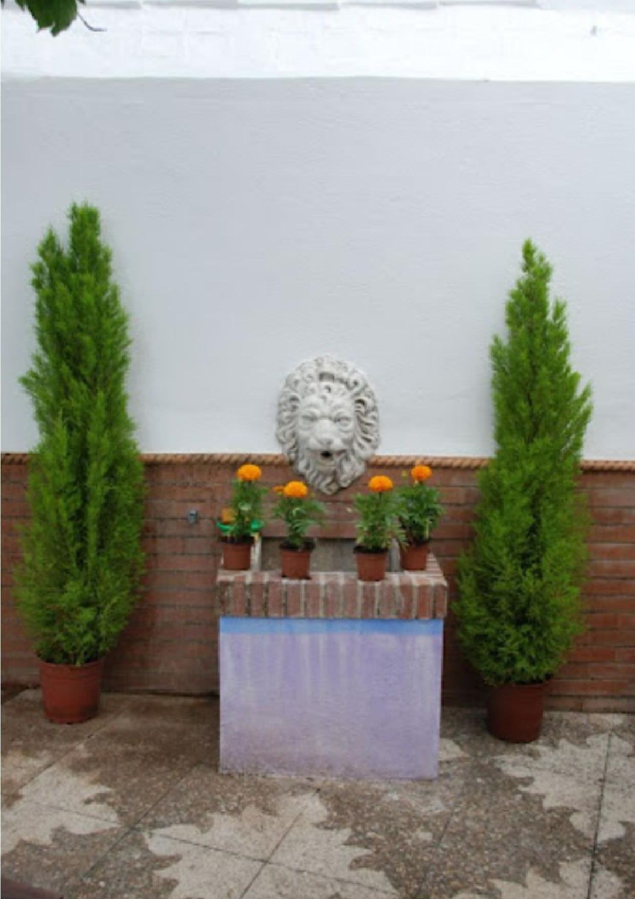 Casas o chalets-Venta-AlanÃ­s-2033424-Foto-35