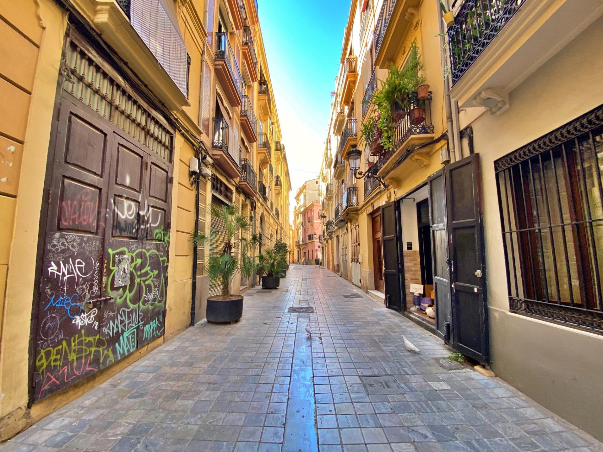 Pisos-Alquiler-Valencia-2043489-Foto-4