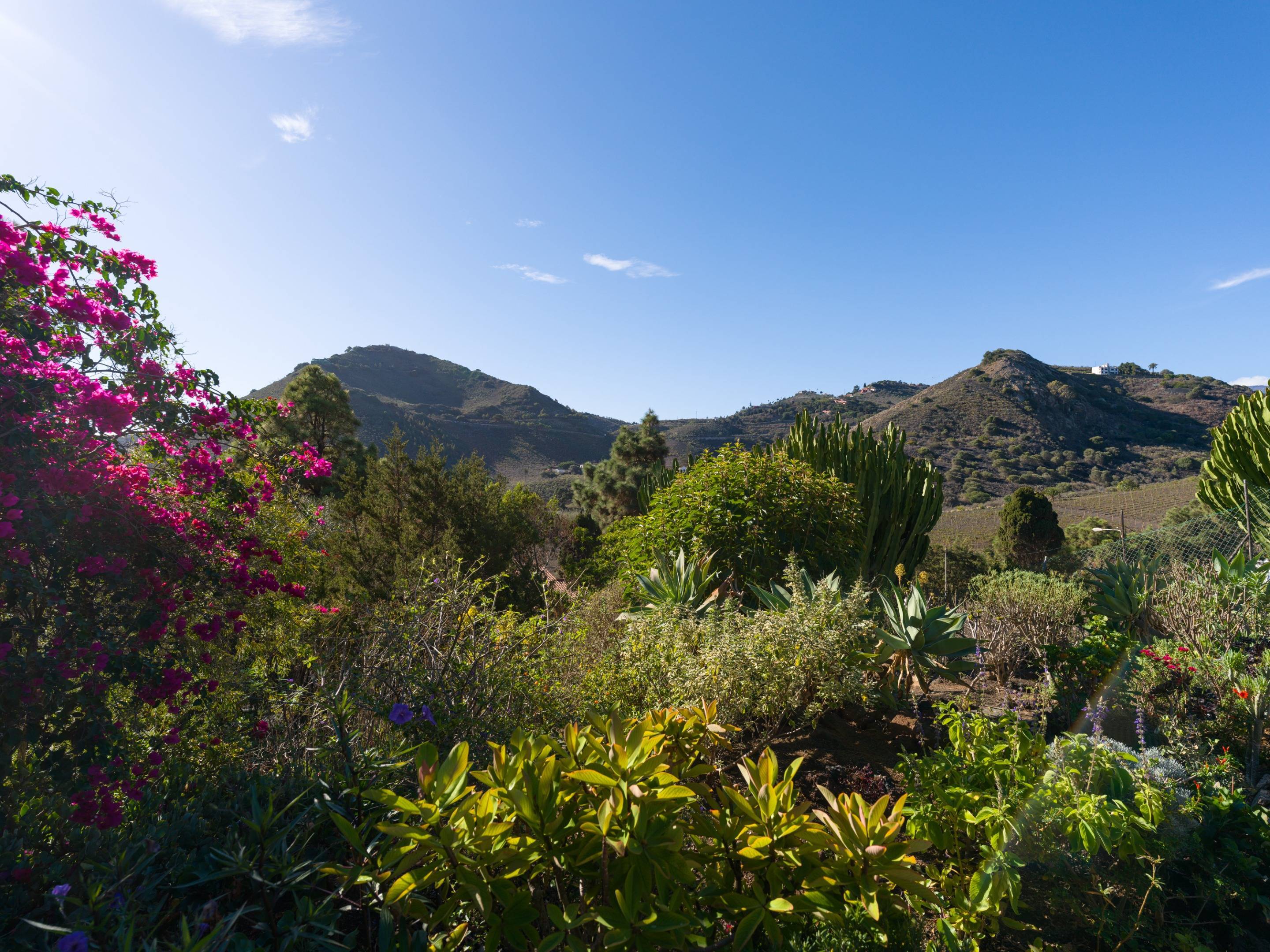 En venta encantador chalet en tafira!