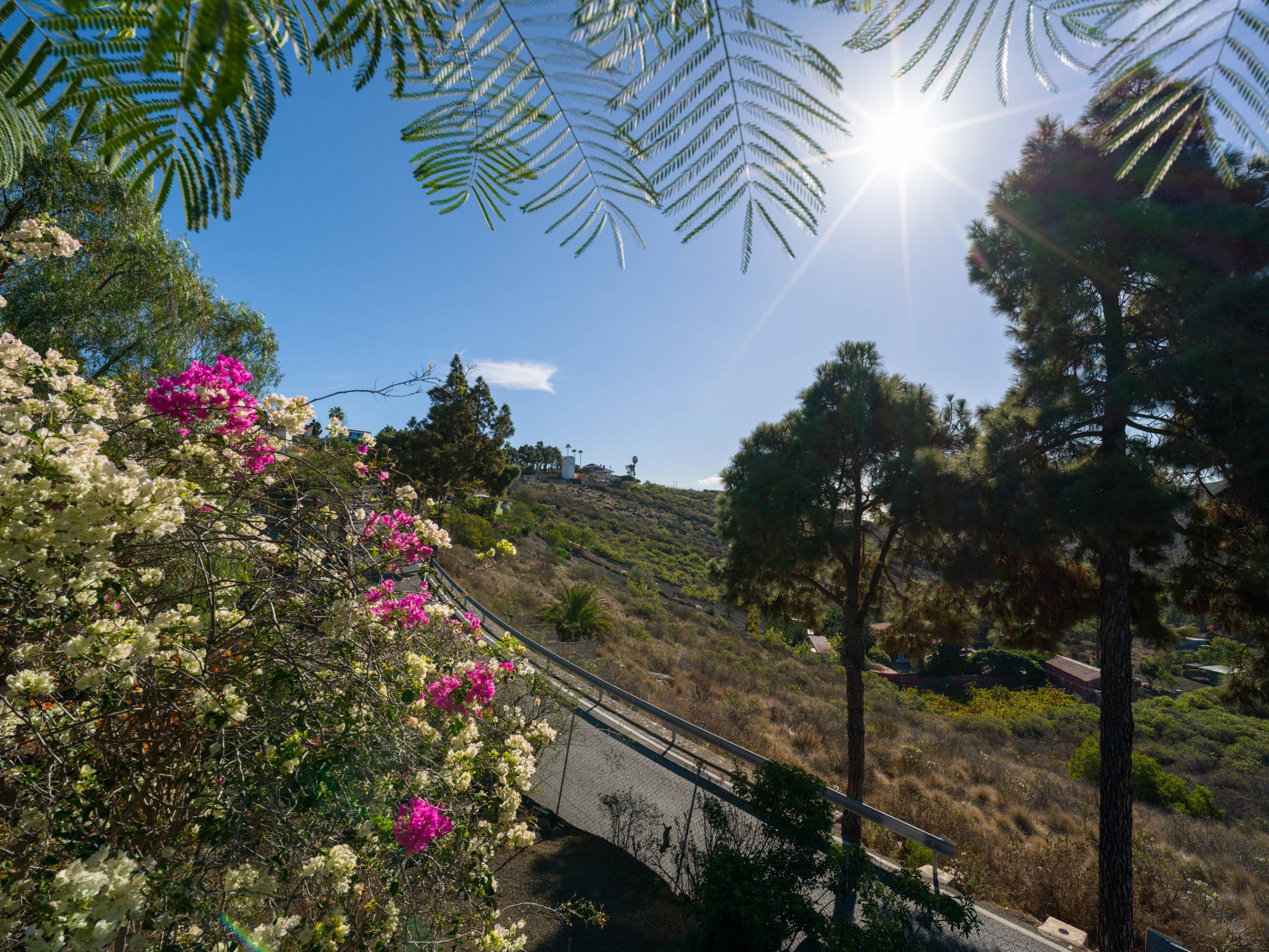 En venta encantador chalet en tafira!