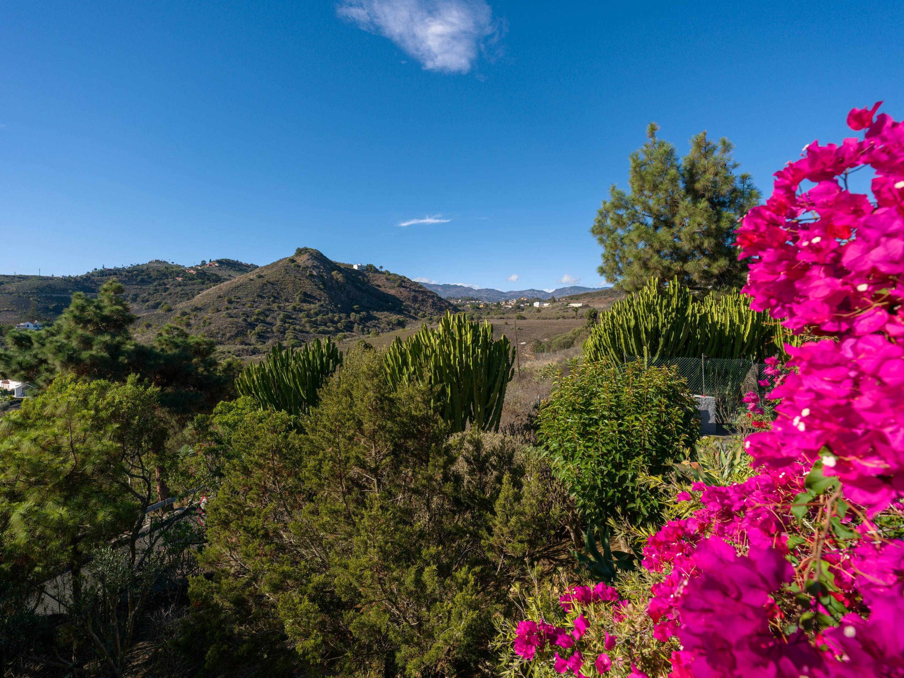 En venta encantador chalet en tafira!